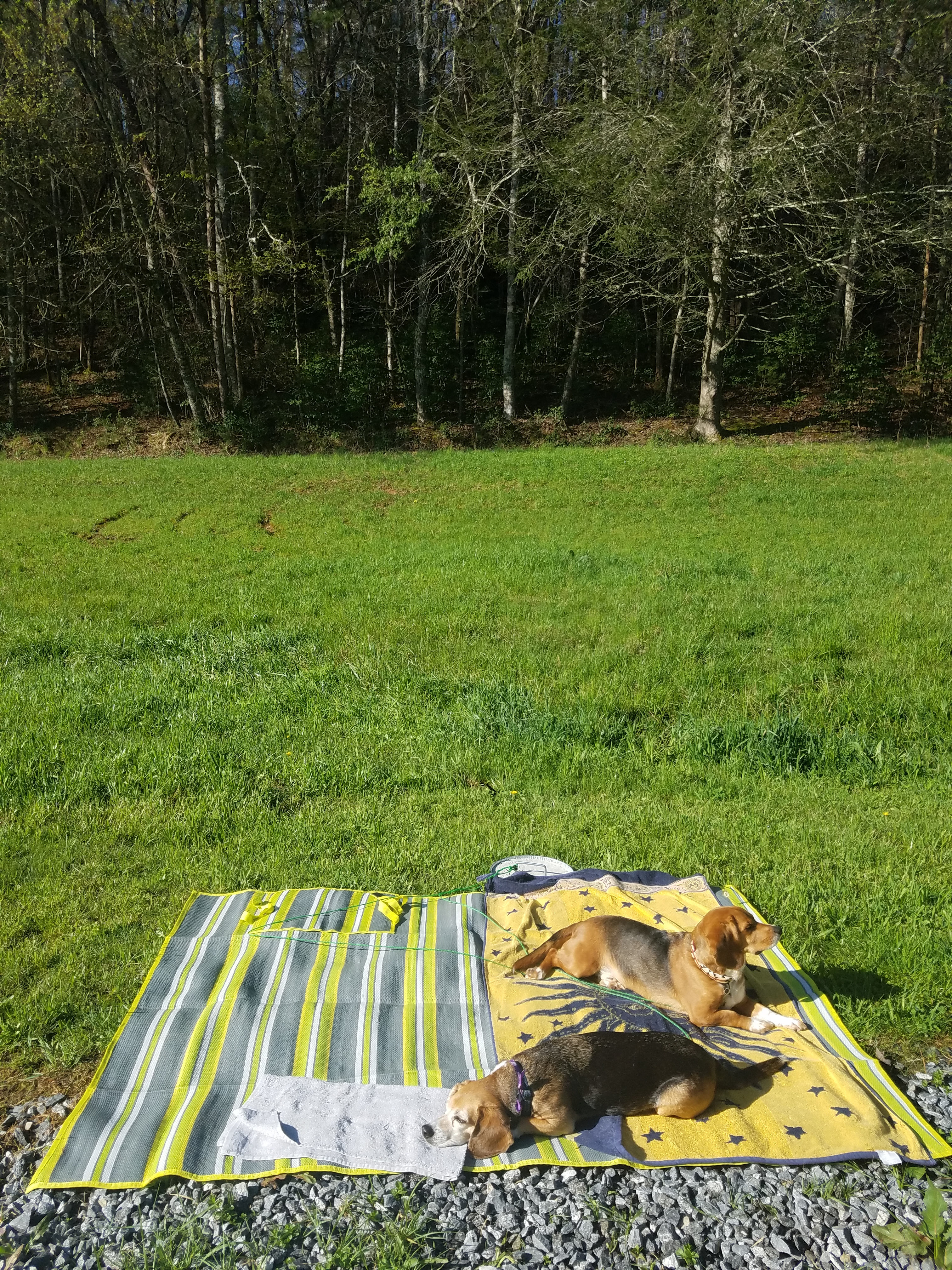 Barnett Old Tobacco Farm