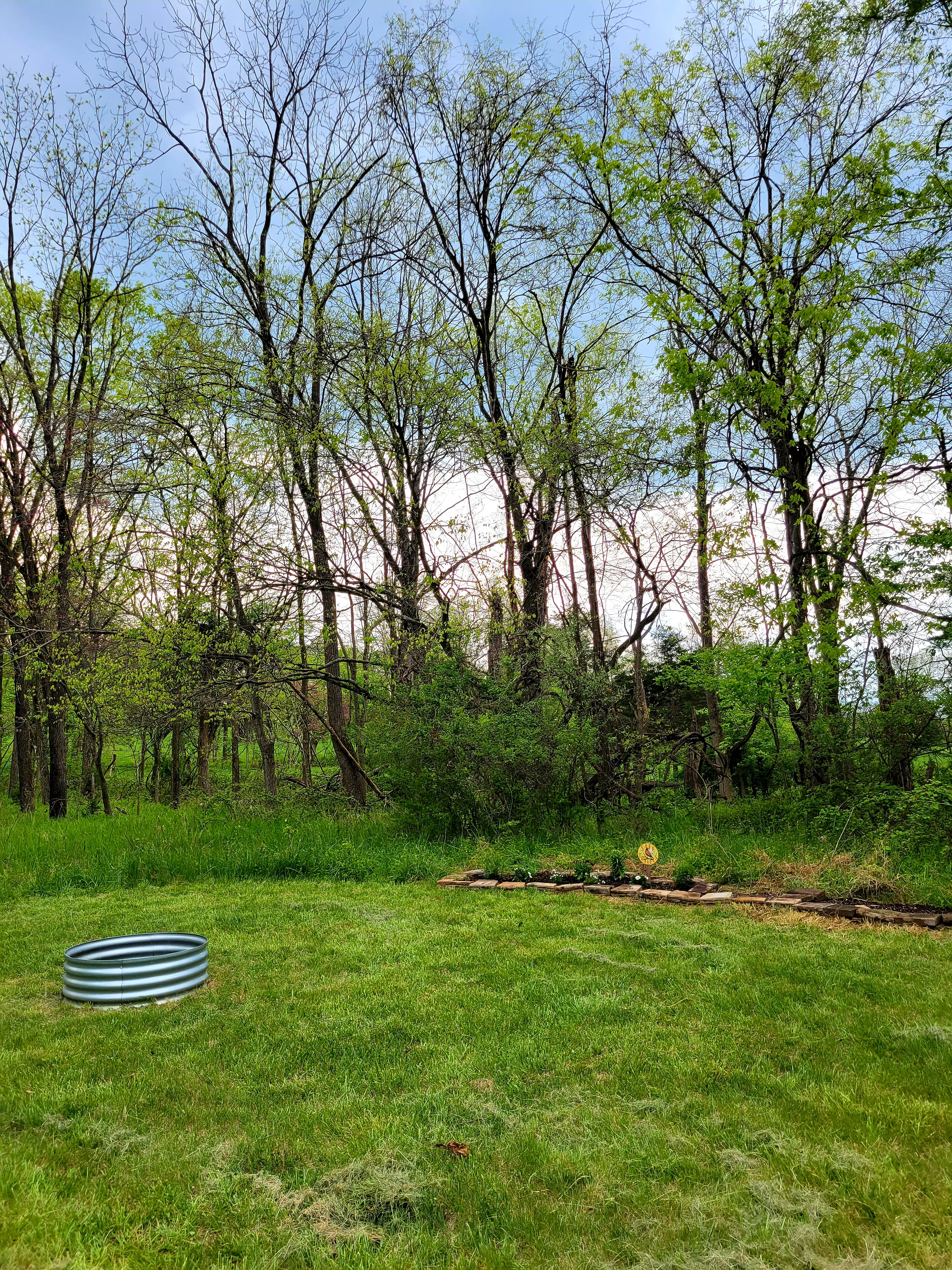 Wineberry Grove