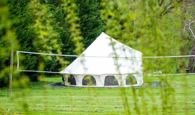 The Black Bear Tent