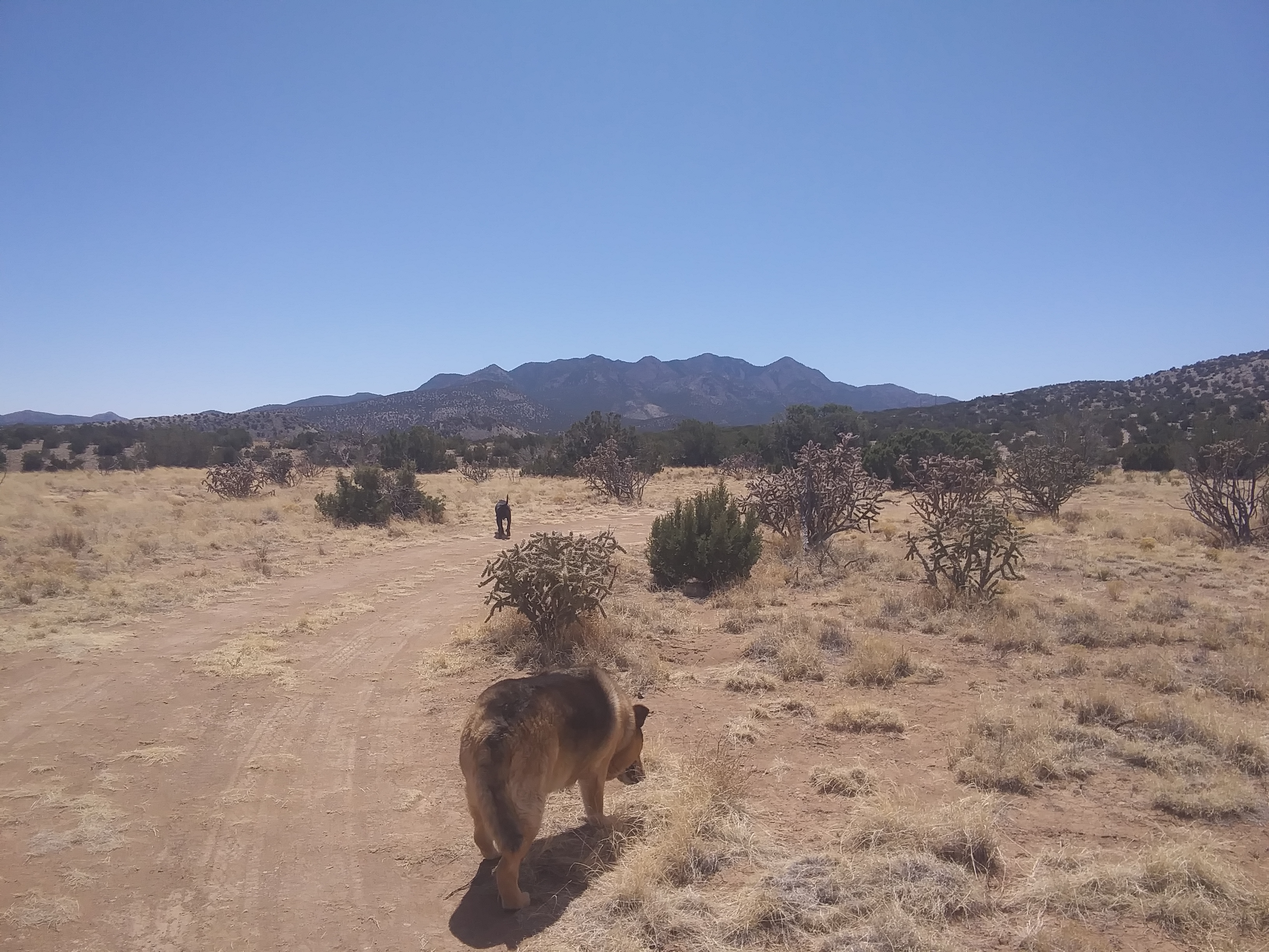 Mesa Top camping