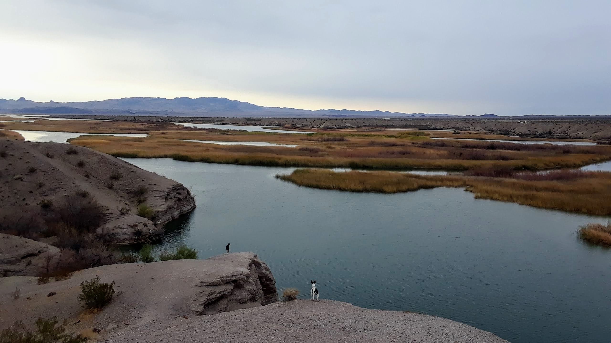 Overlooking the backwaters of the Colorado on your morning walk