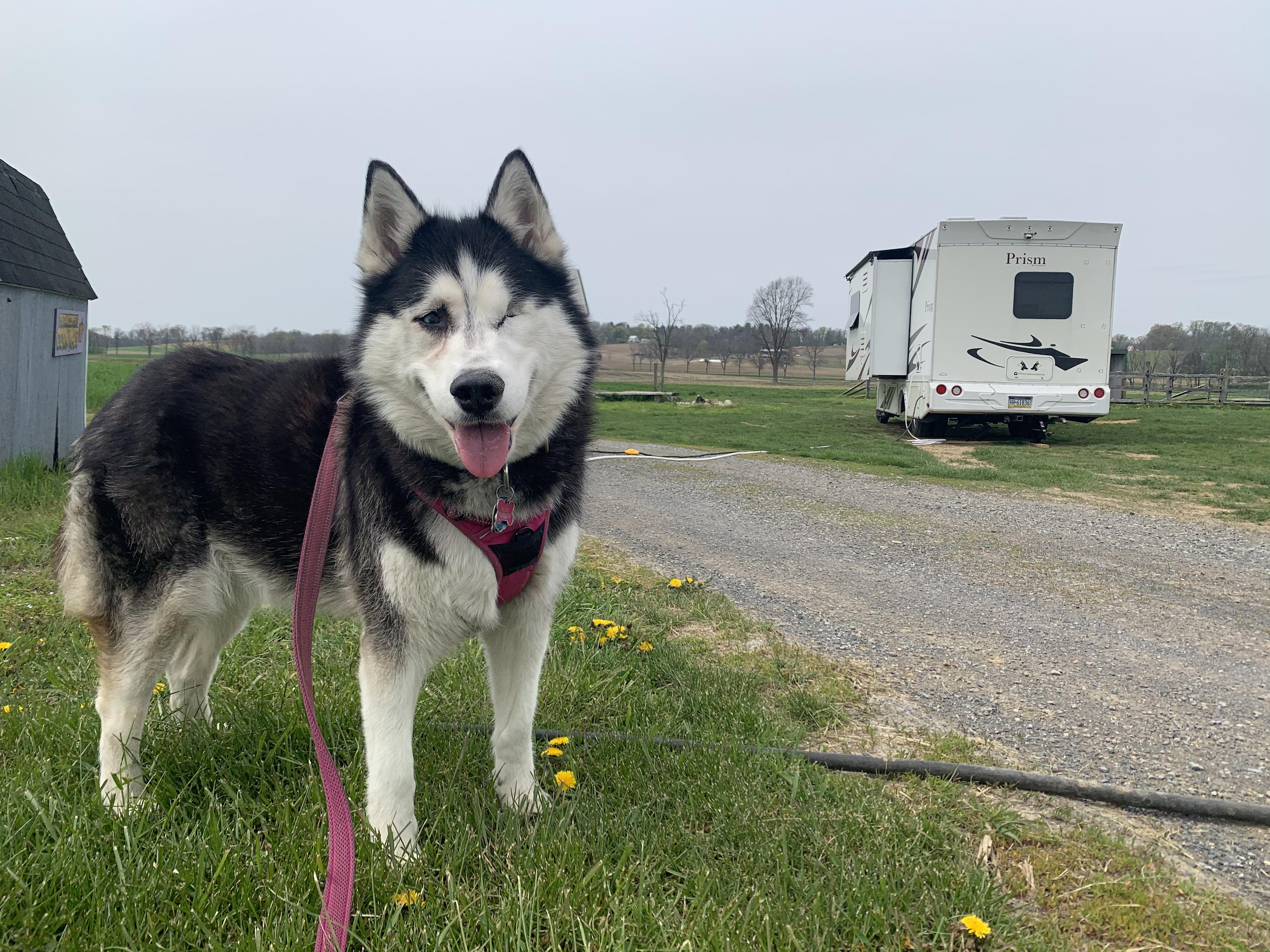 Dj Duncan's Piece of Heaven