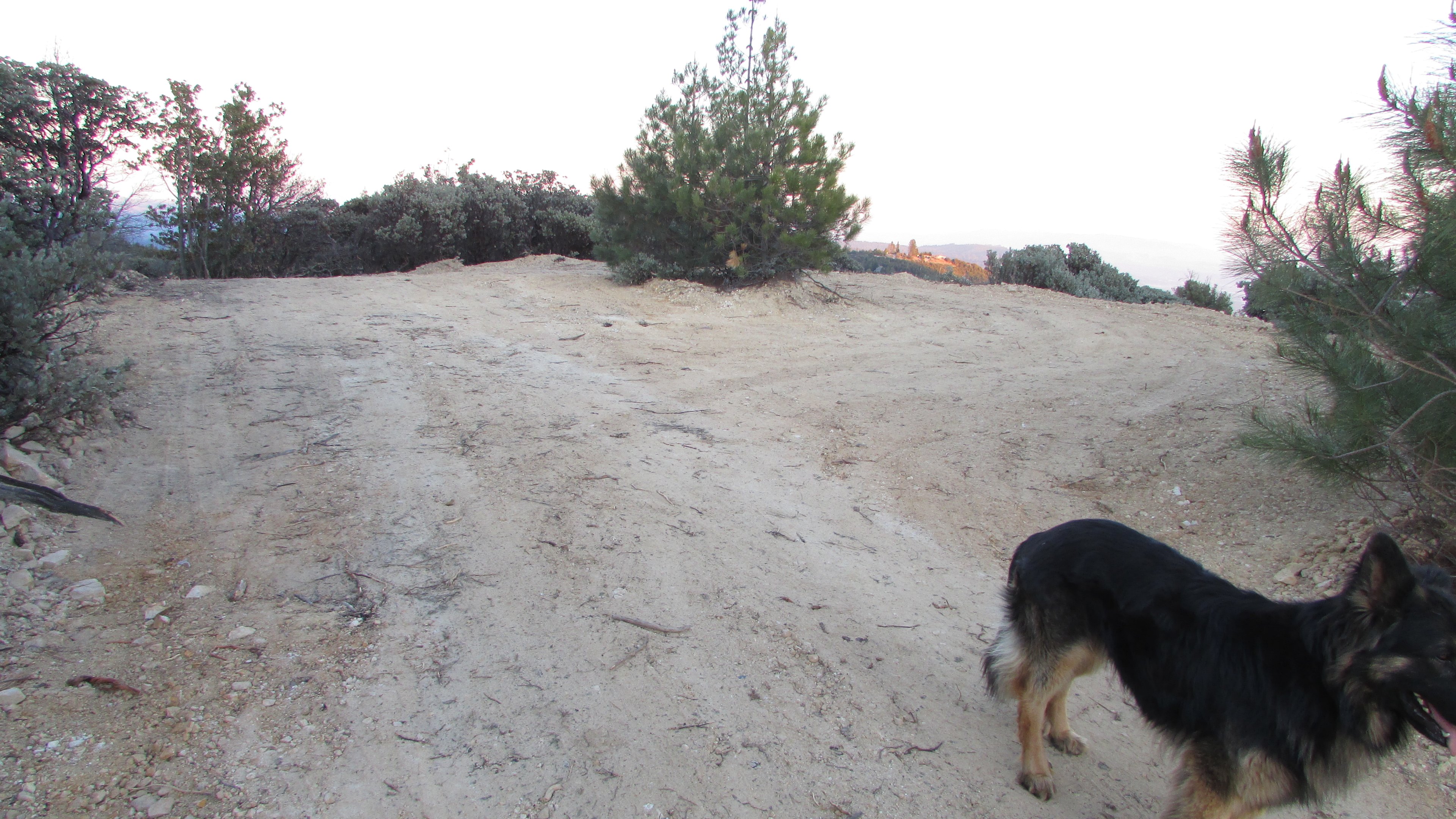 Camping site