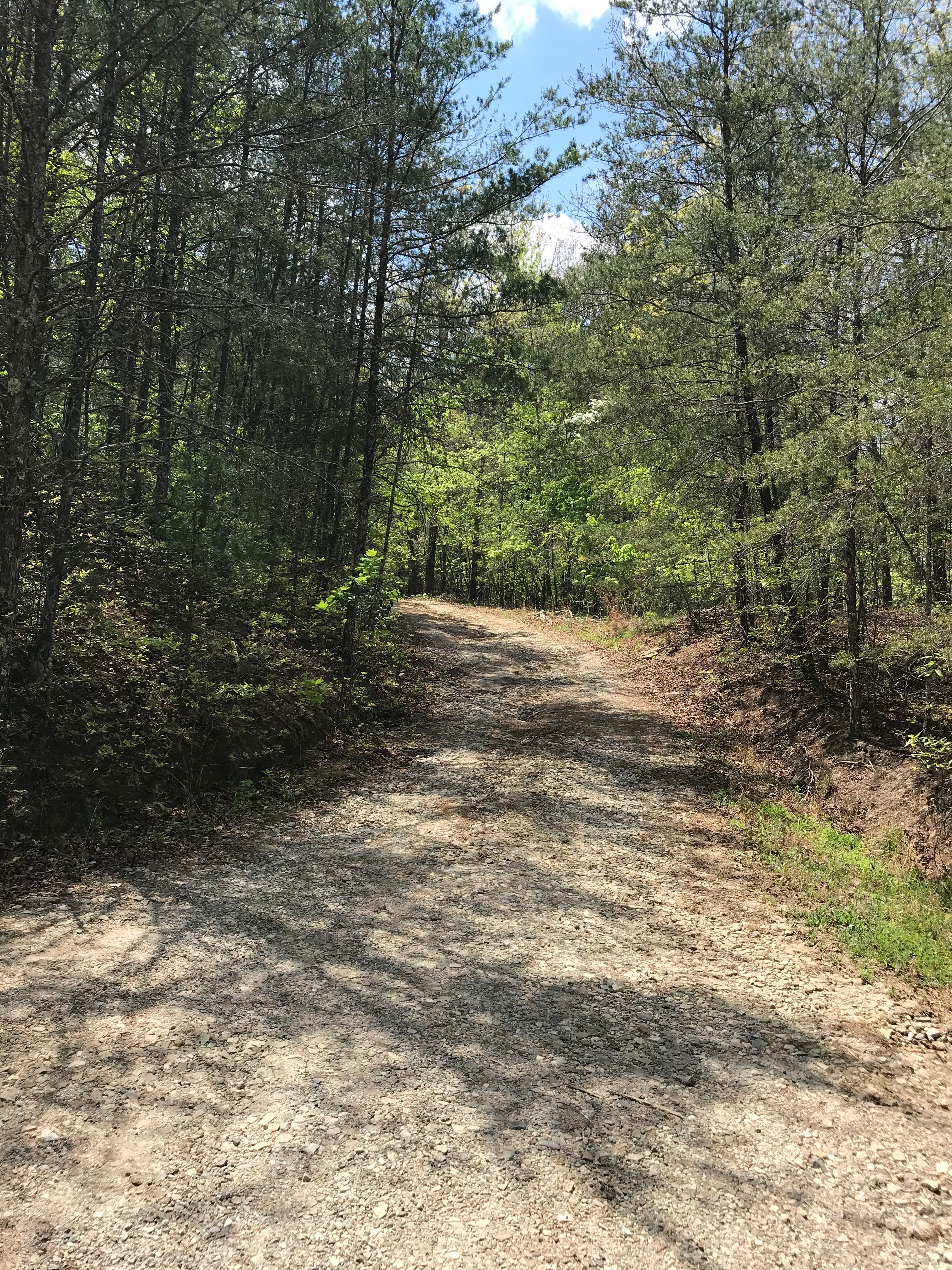 Driveway leading up slight hill at entrance.