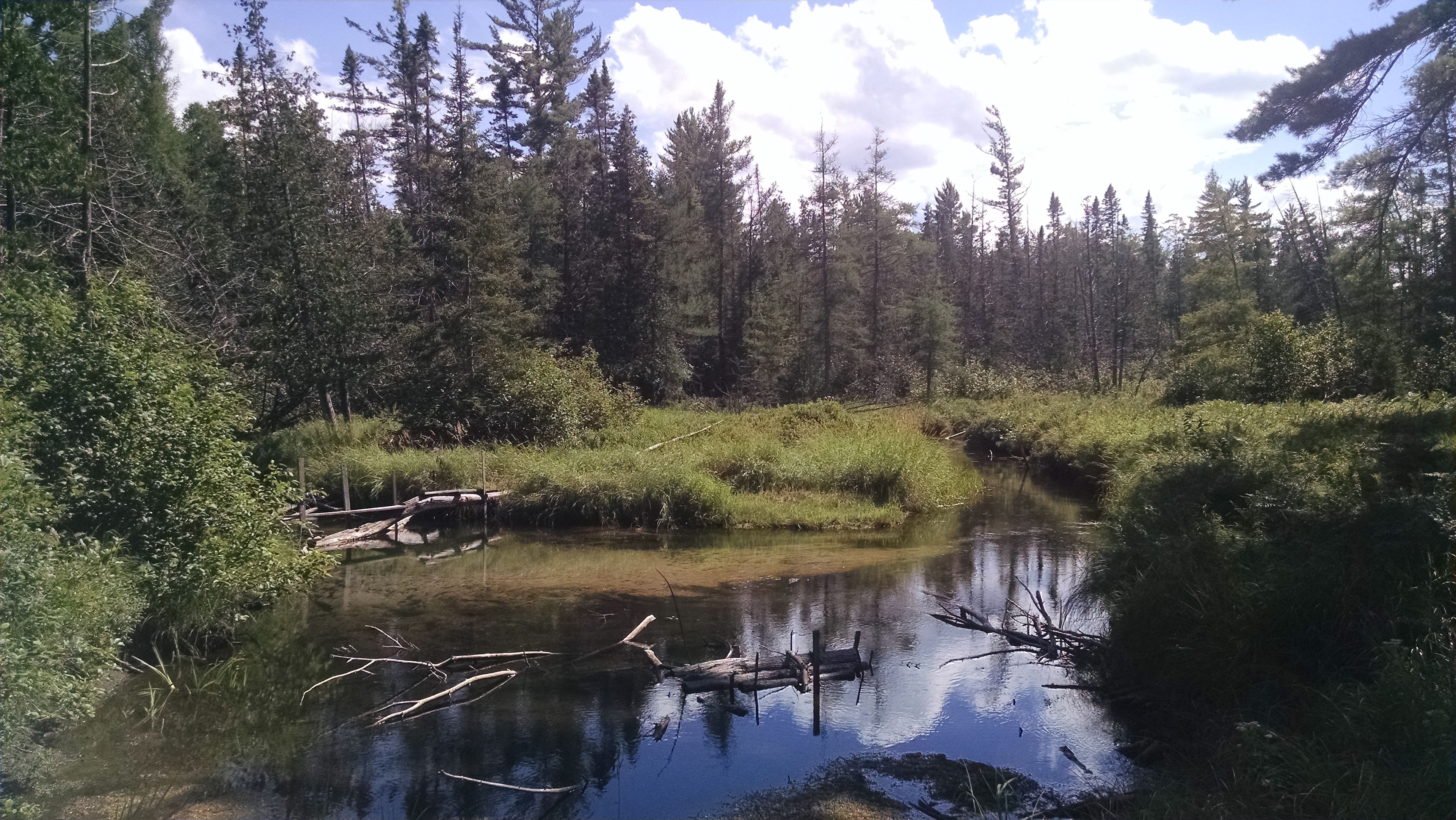 RV-tent,gorgeous PRIVATE water view
