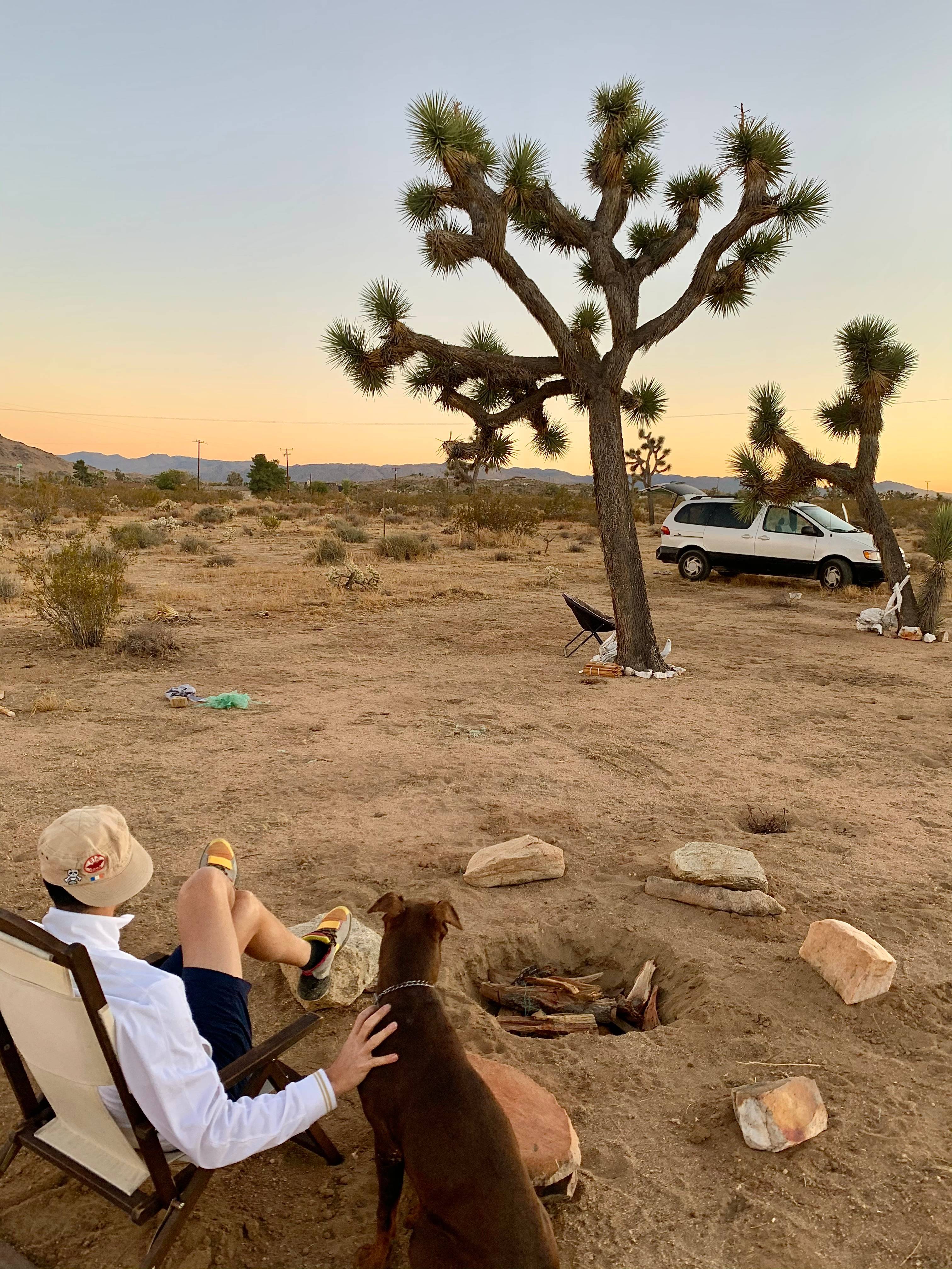 Caribbean Mojave Escape