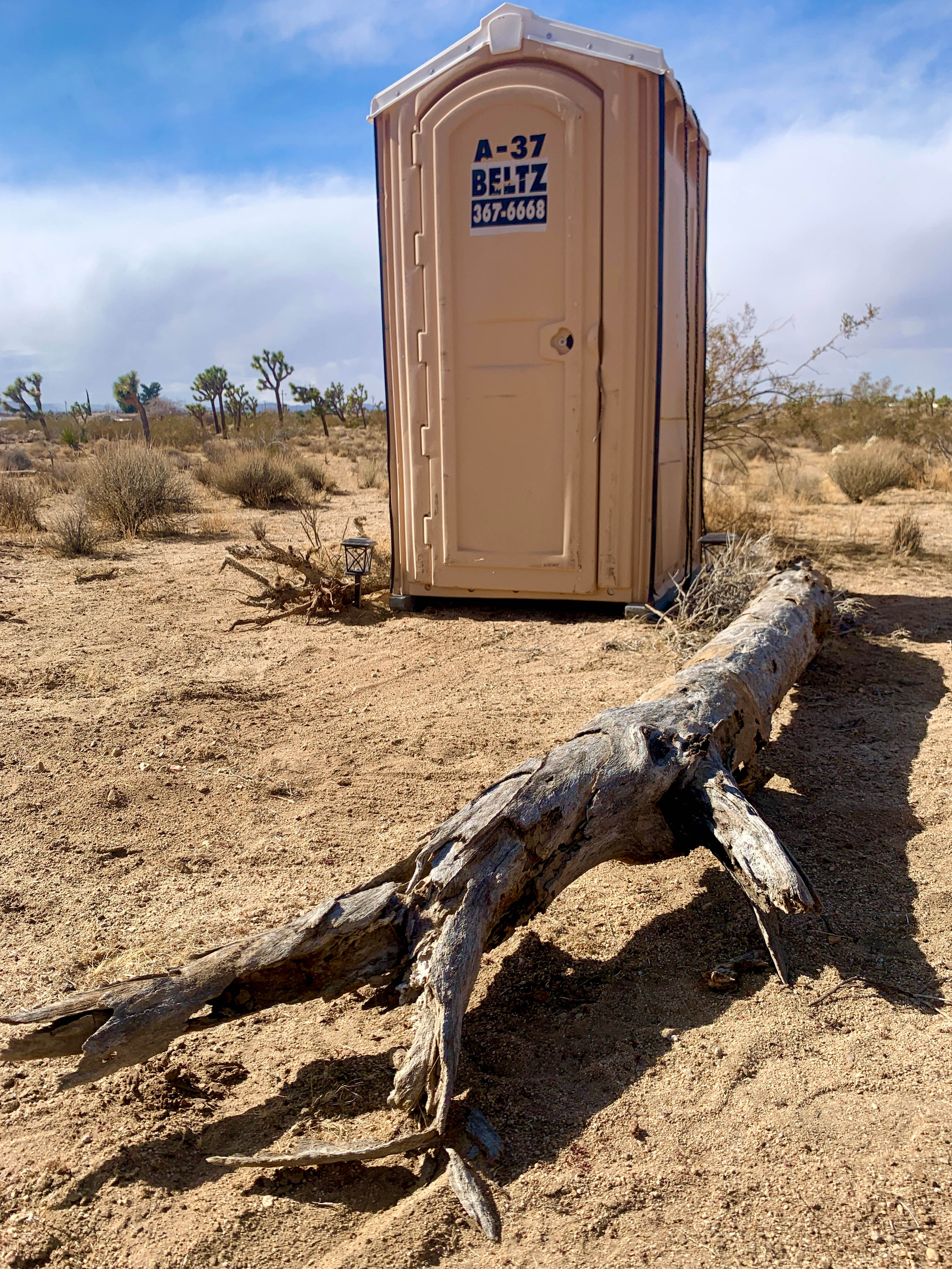 Caribbean Mojave Escape