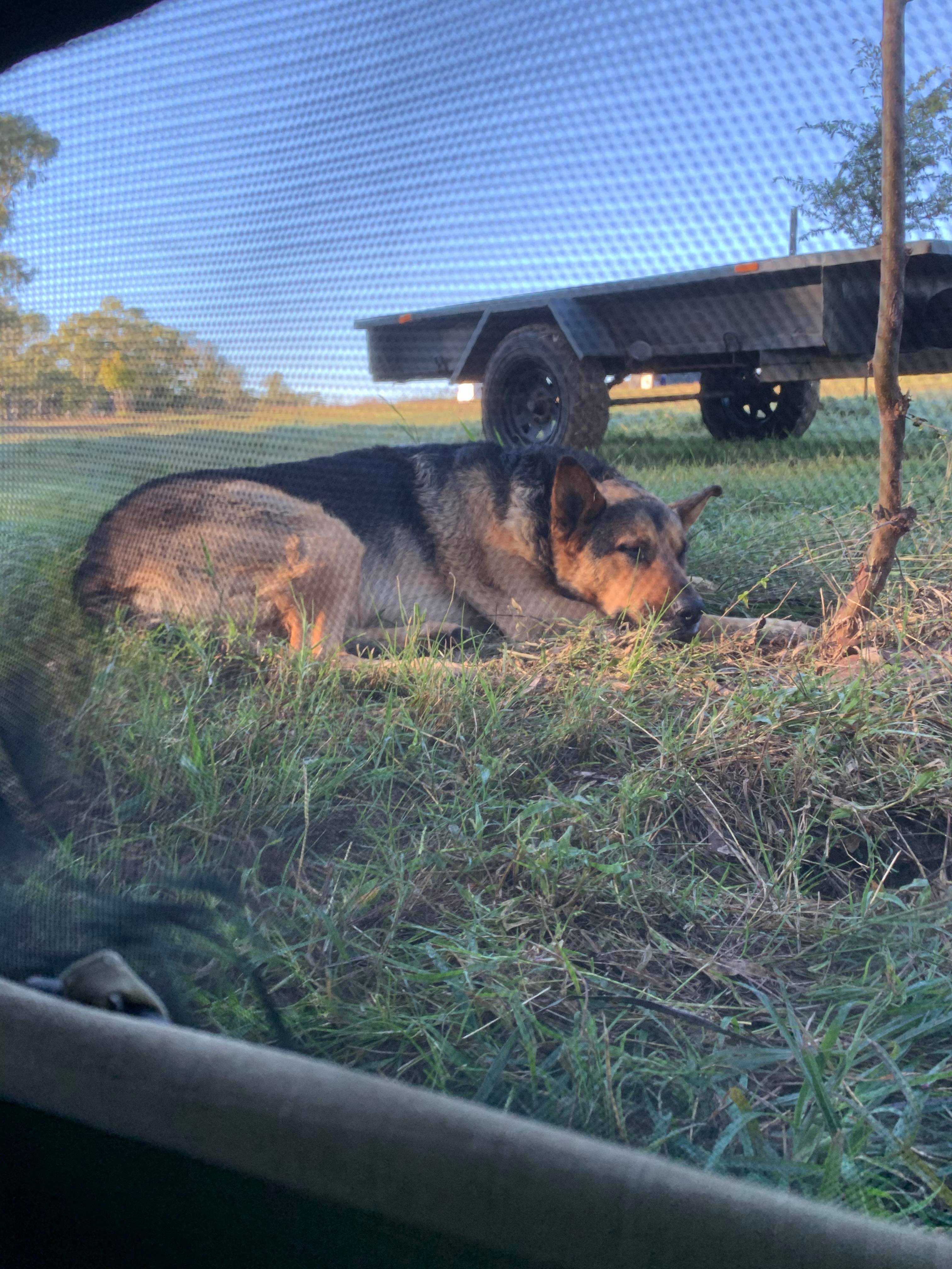 Wongalea Fishing and Camping