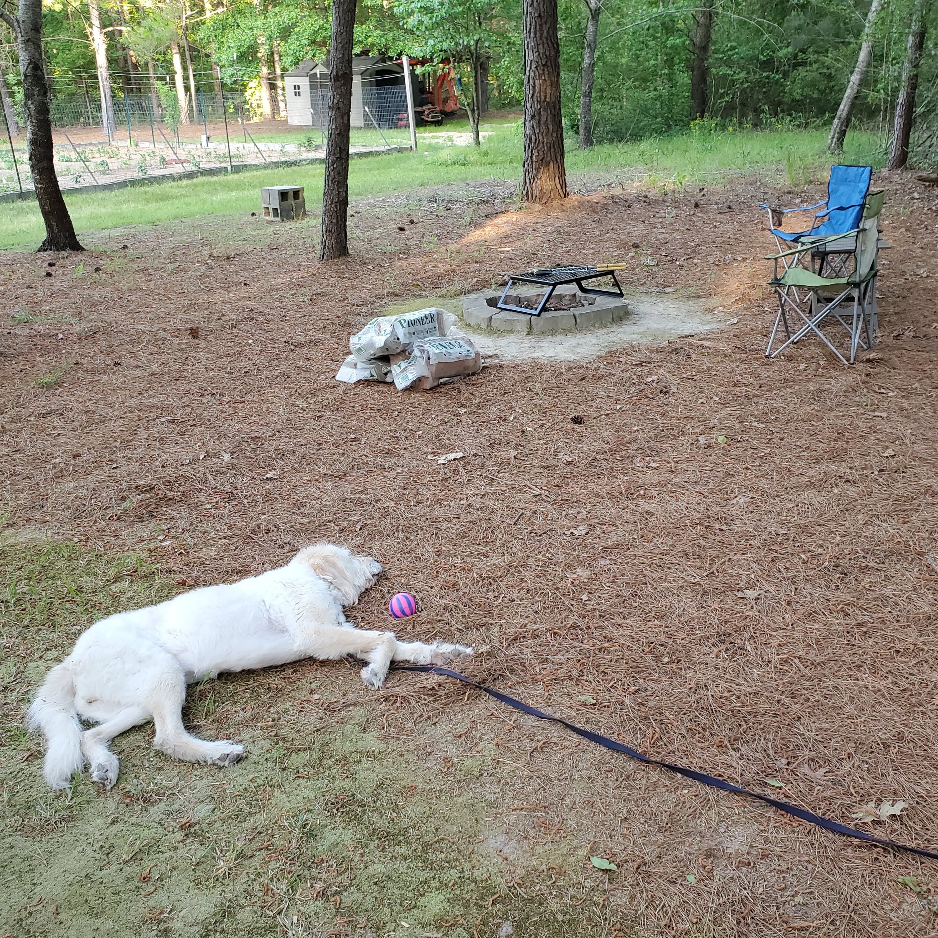 Cedar Creek Campground at Elease