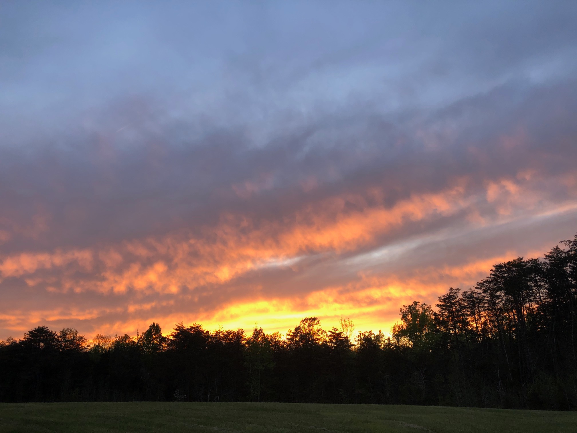 Sunset view from the open field