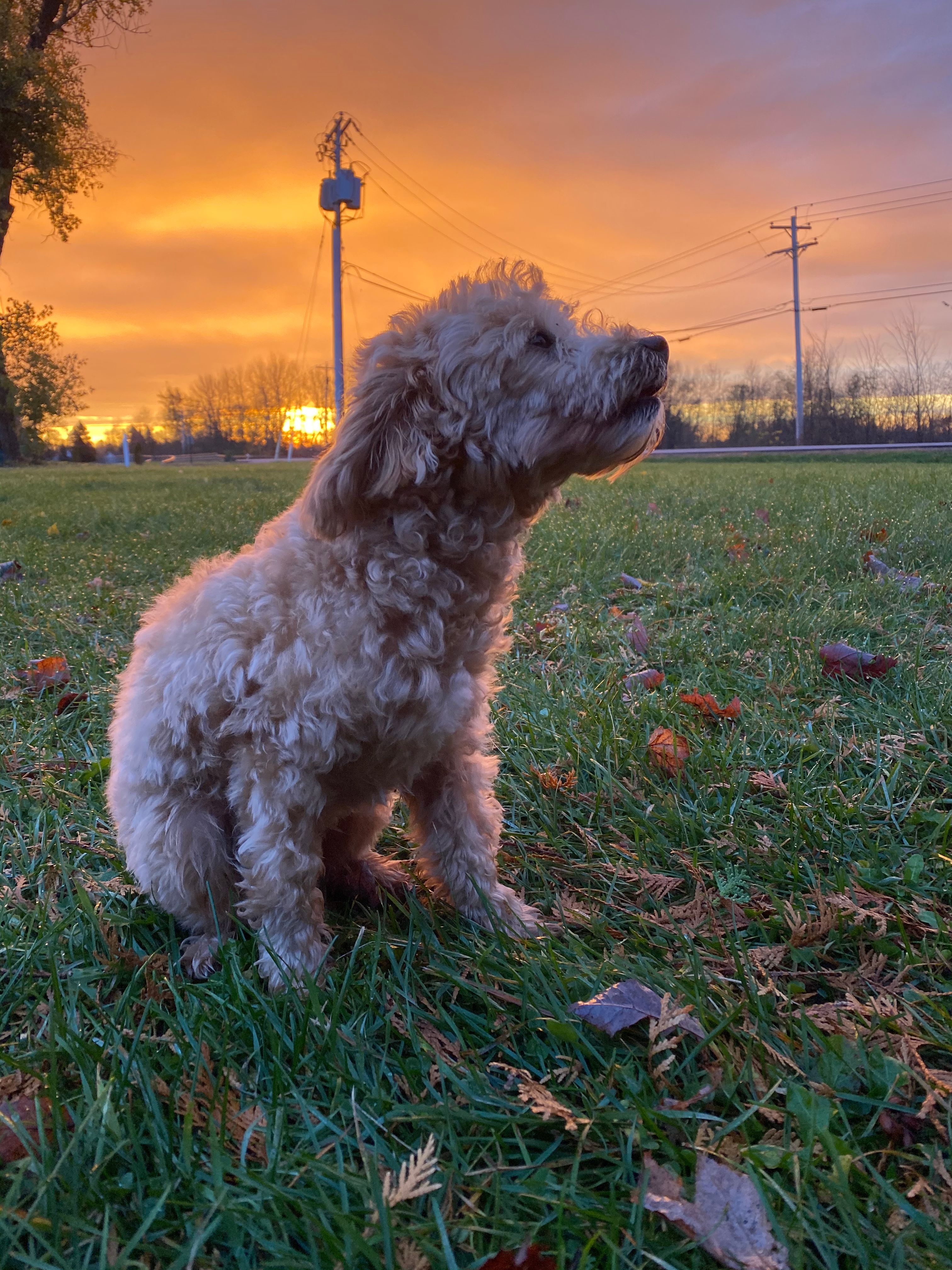 Babbling Brook RV Park