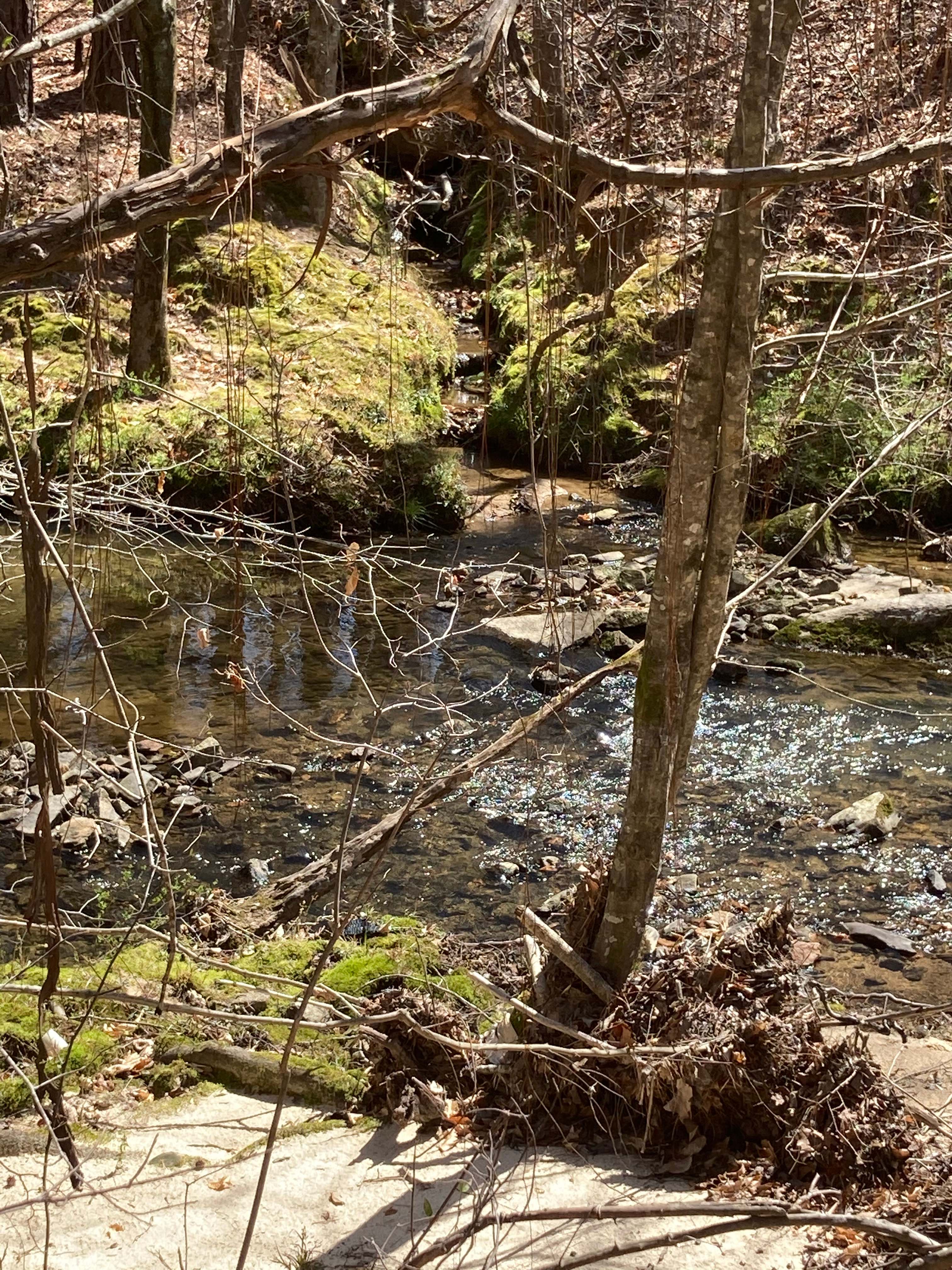 Ironwood Crossing