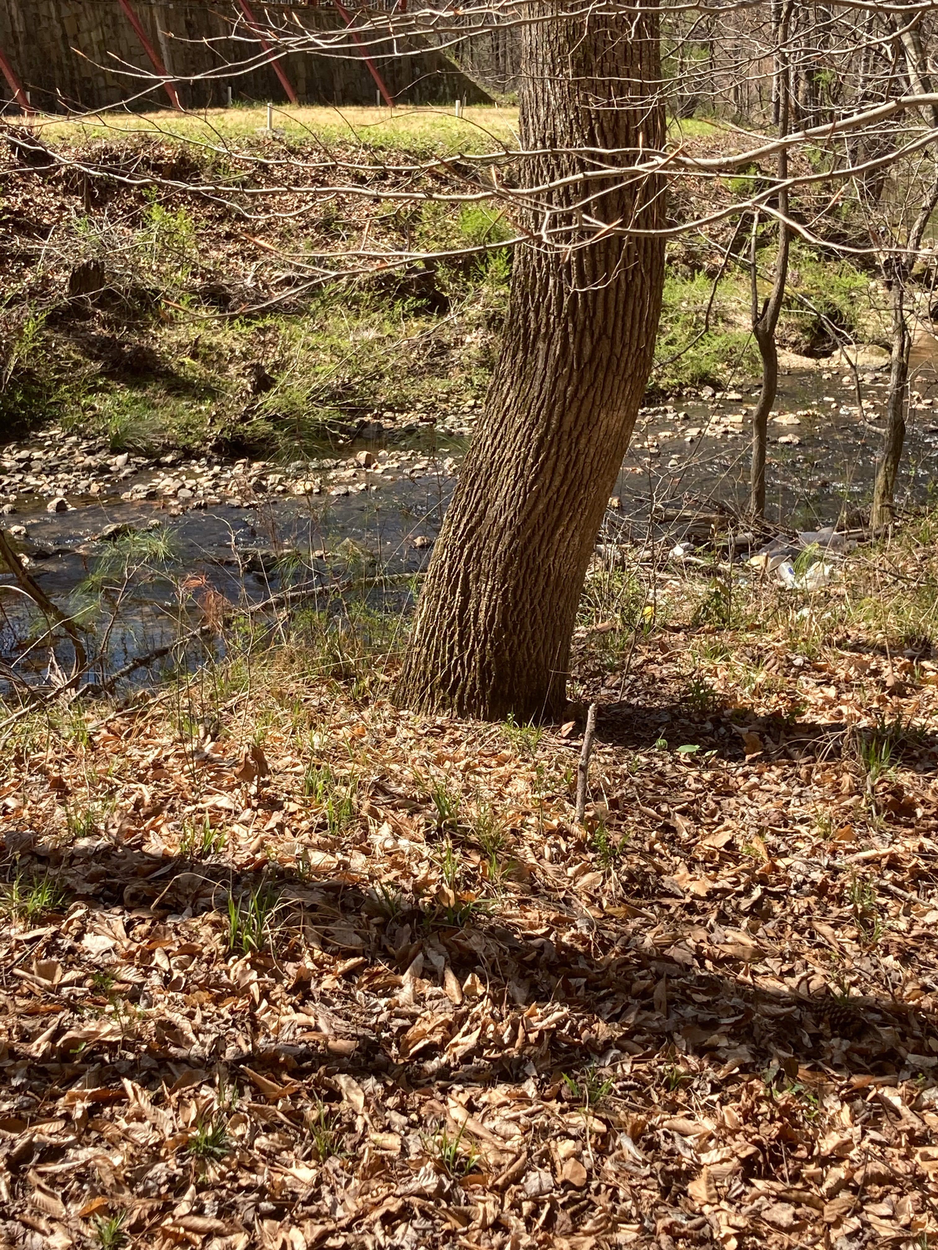 Ironwood Crossing