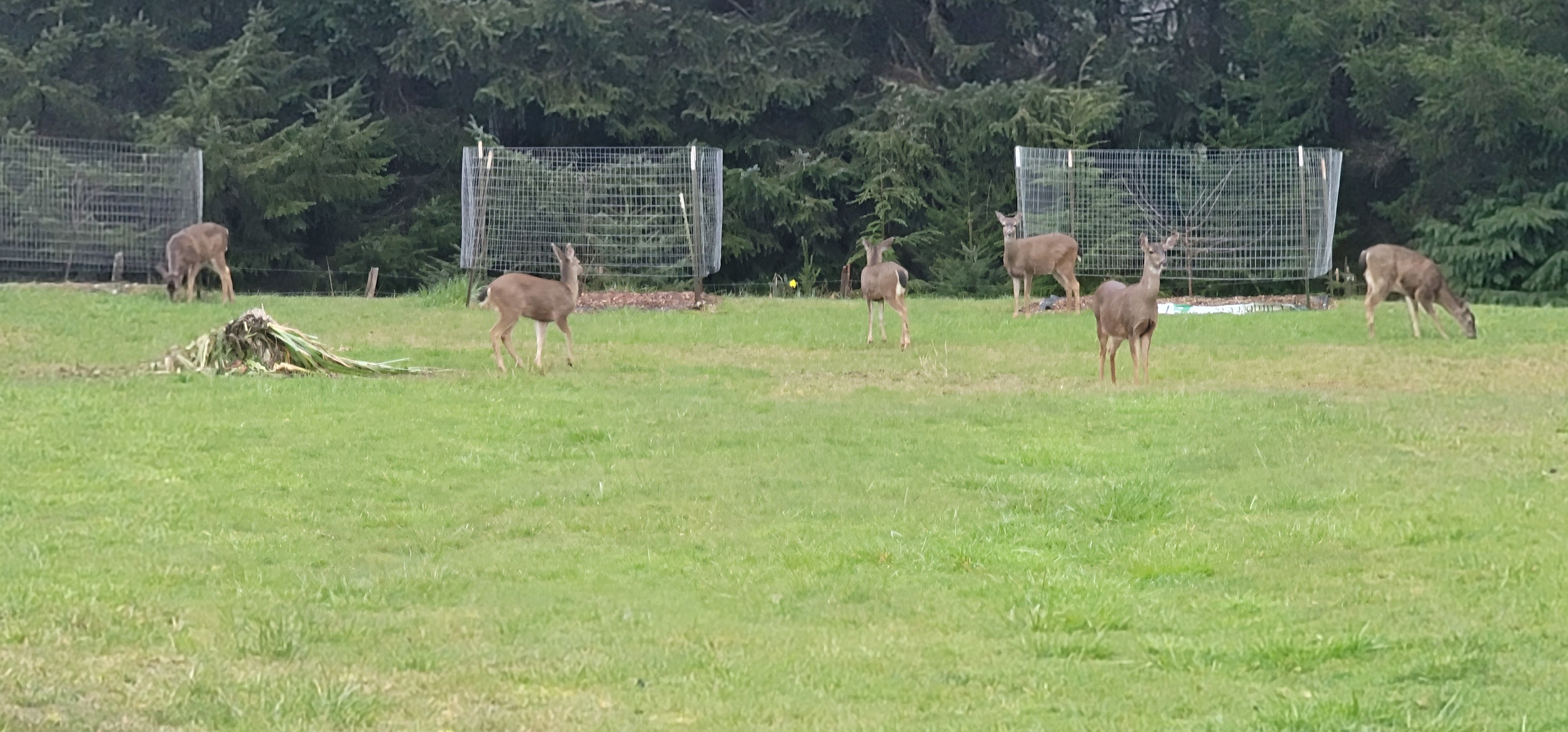 James family country setting