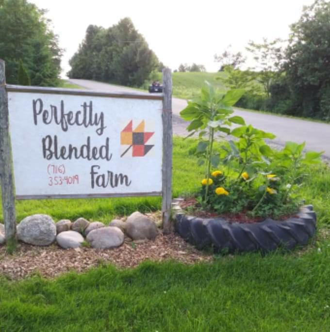 Feather and Hoof Tent Campsite