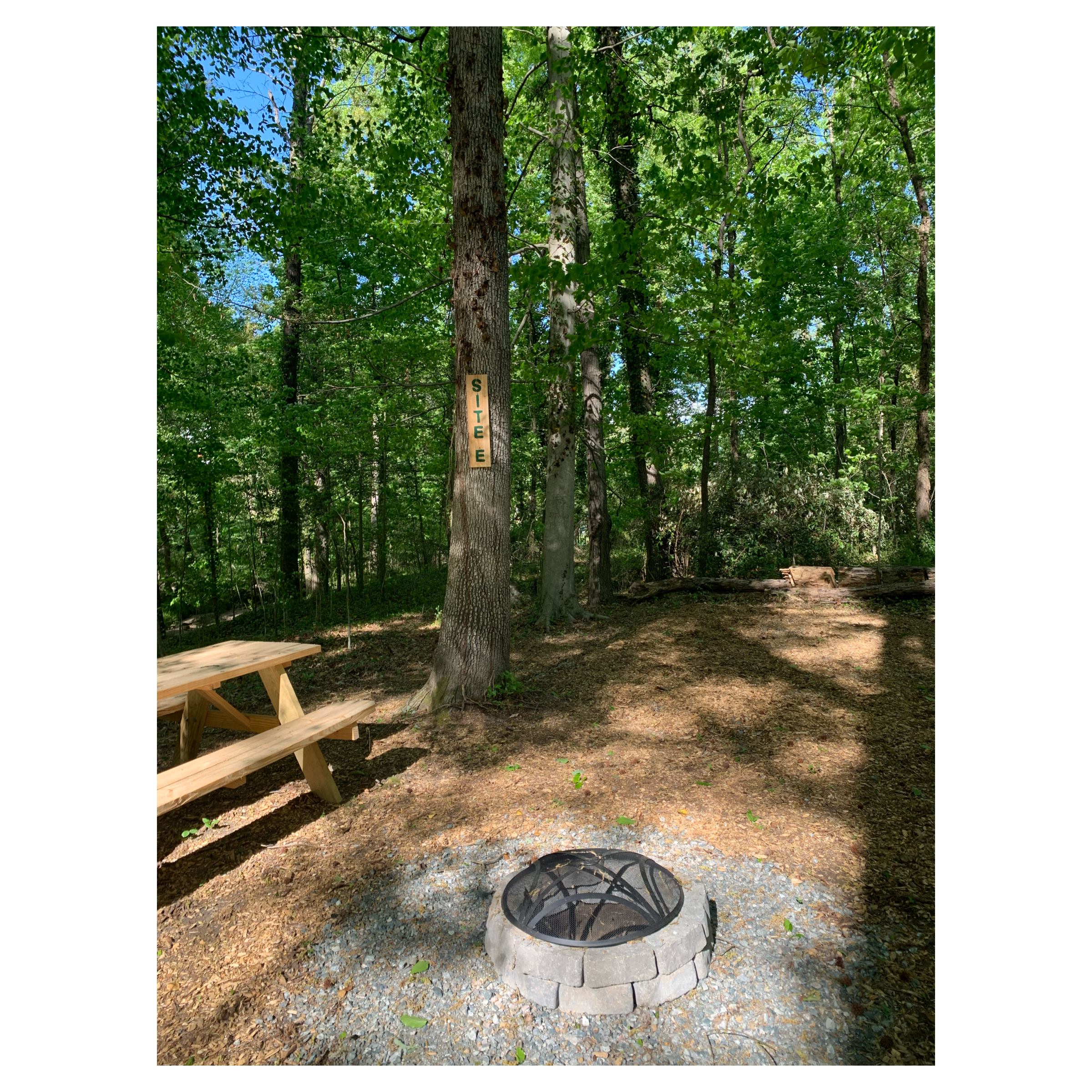 ~ Campsite E (2) ~

Tent footprint: 15'x16'
Total space: 40'x20'

There is one parking space that backs up to this site.

There is an extra tent space adjacent to site E which can be reserved for an extra $20 a night. Contact us directly to reserve.