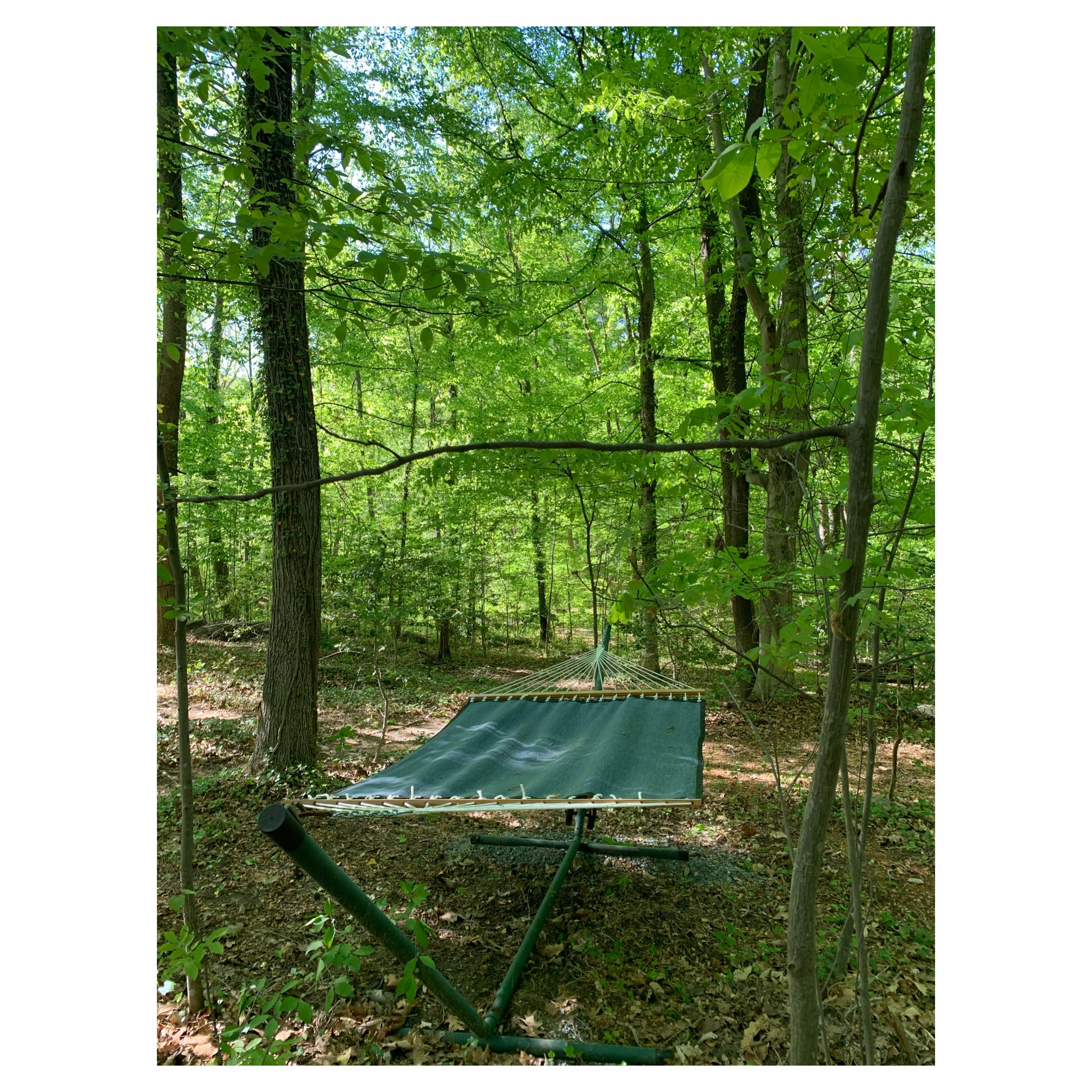 City Camp on Reedy Creek