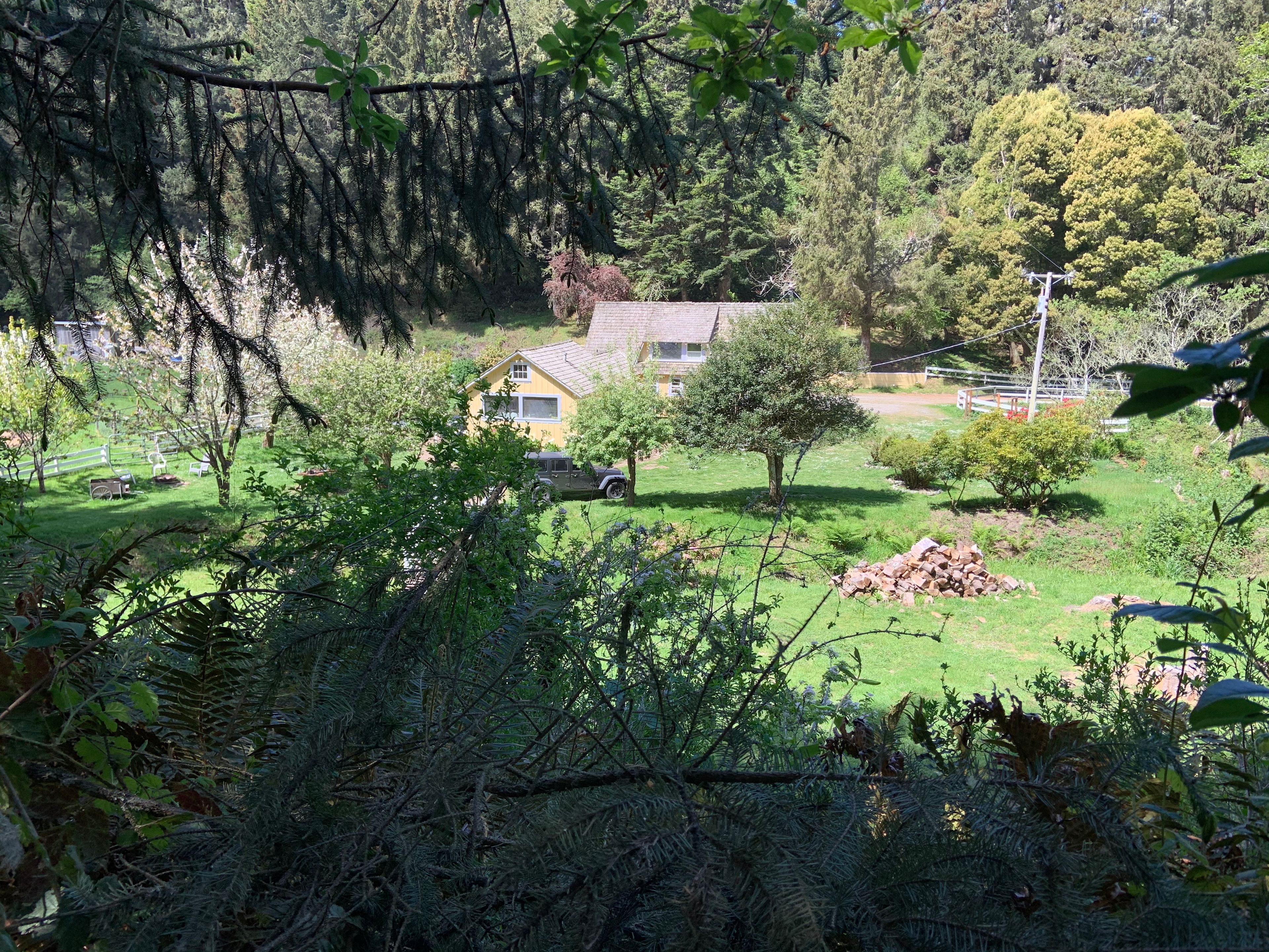 The backyard viewed from a trail that is part of the property.