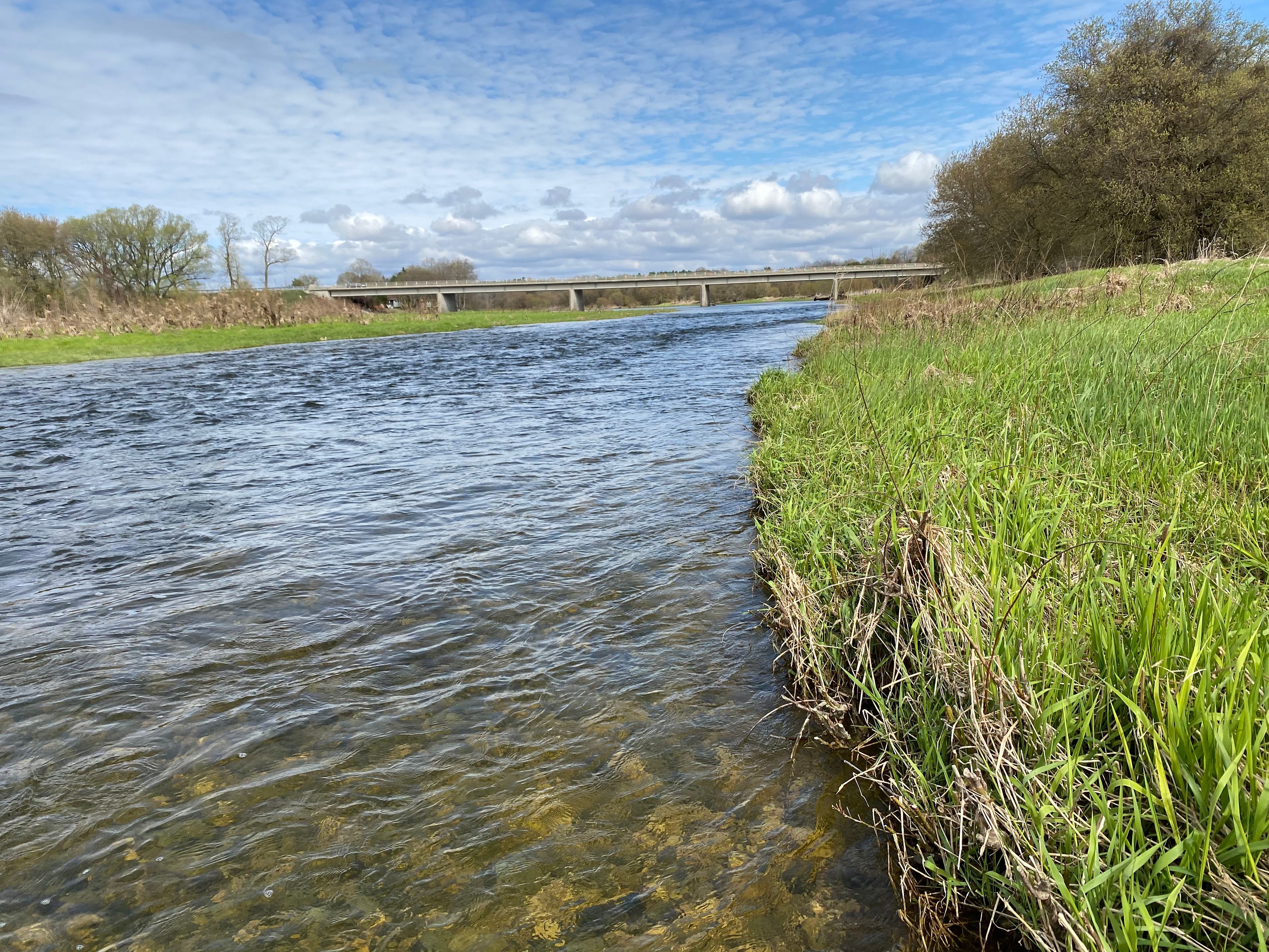 Maitland River looking upstream at Forrester's Bridge.