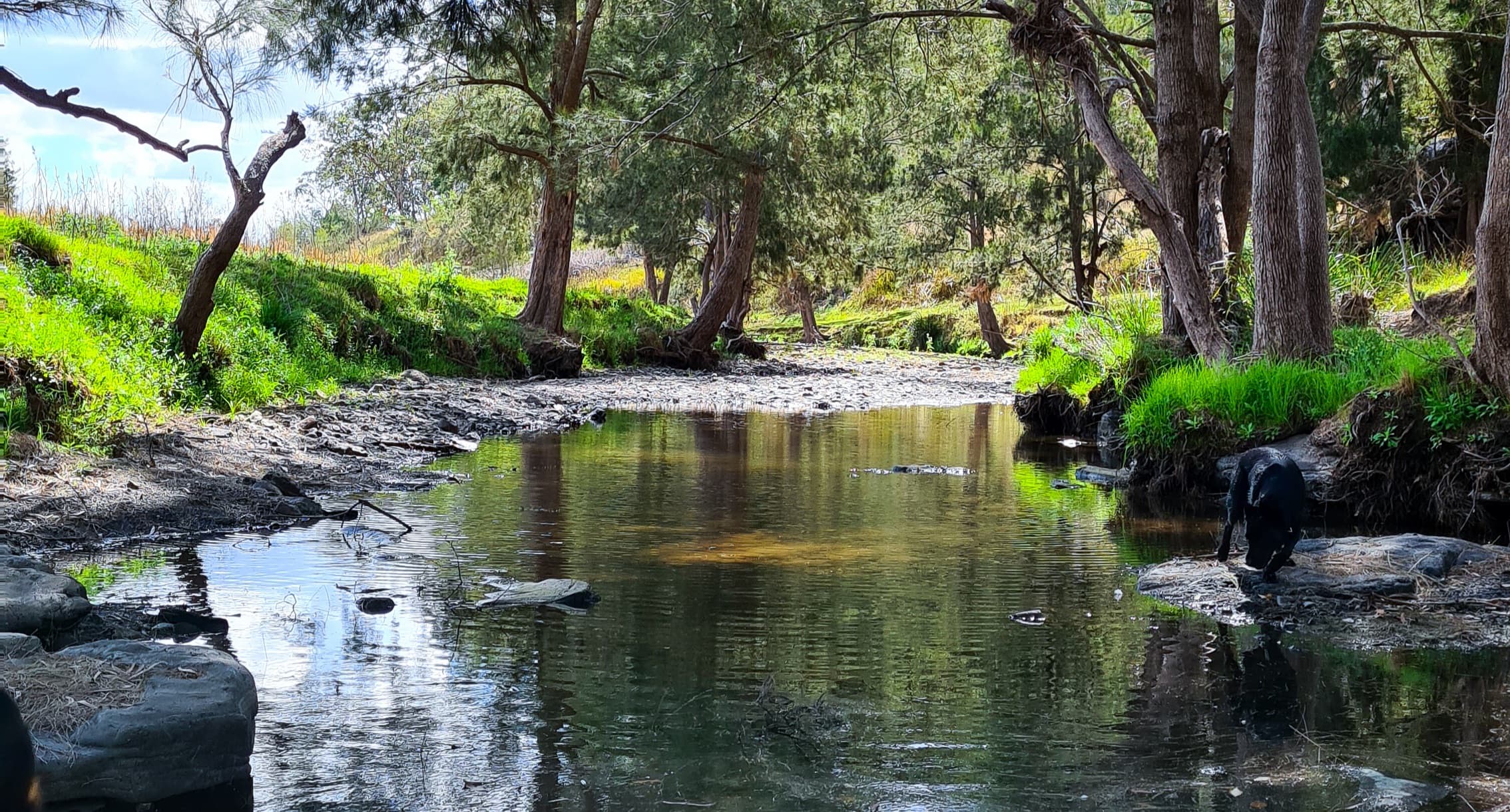 Millar Vale Creek Camping Innisfree
