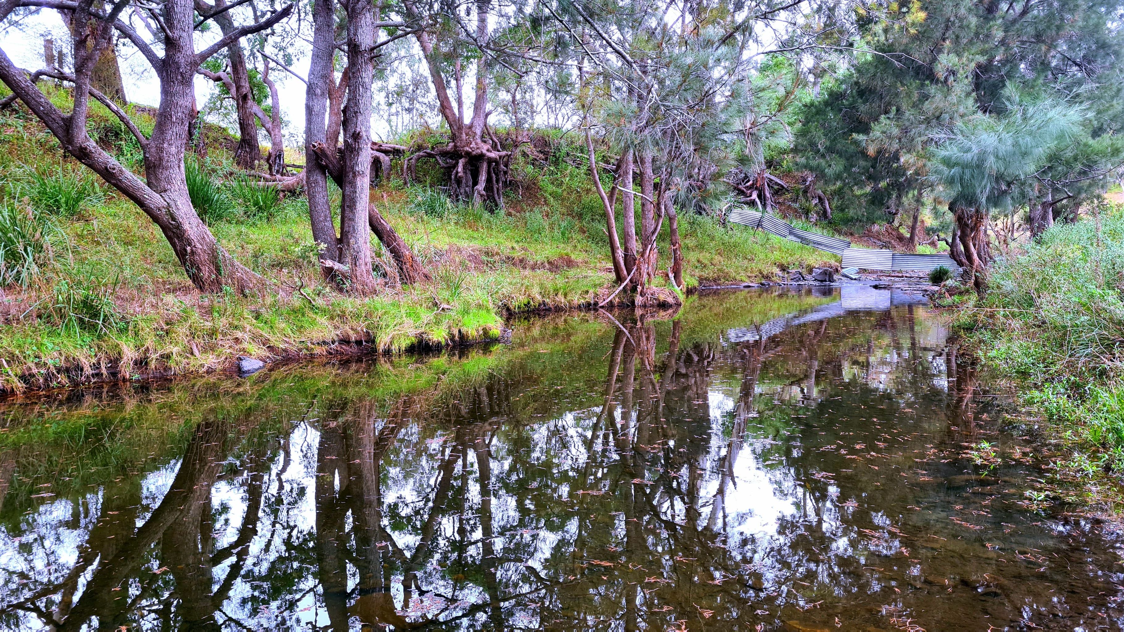 Millar Vale Creek Camping Innisfree