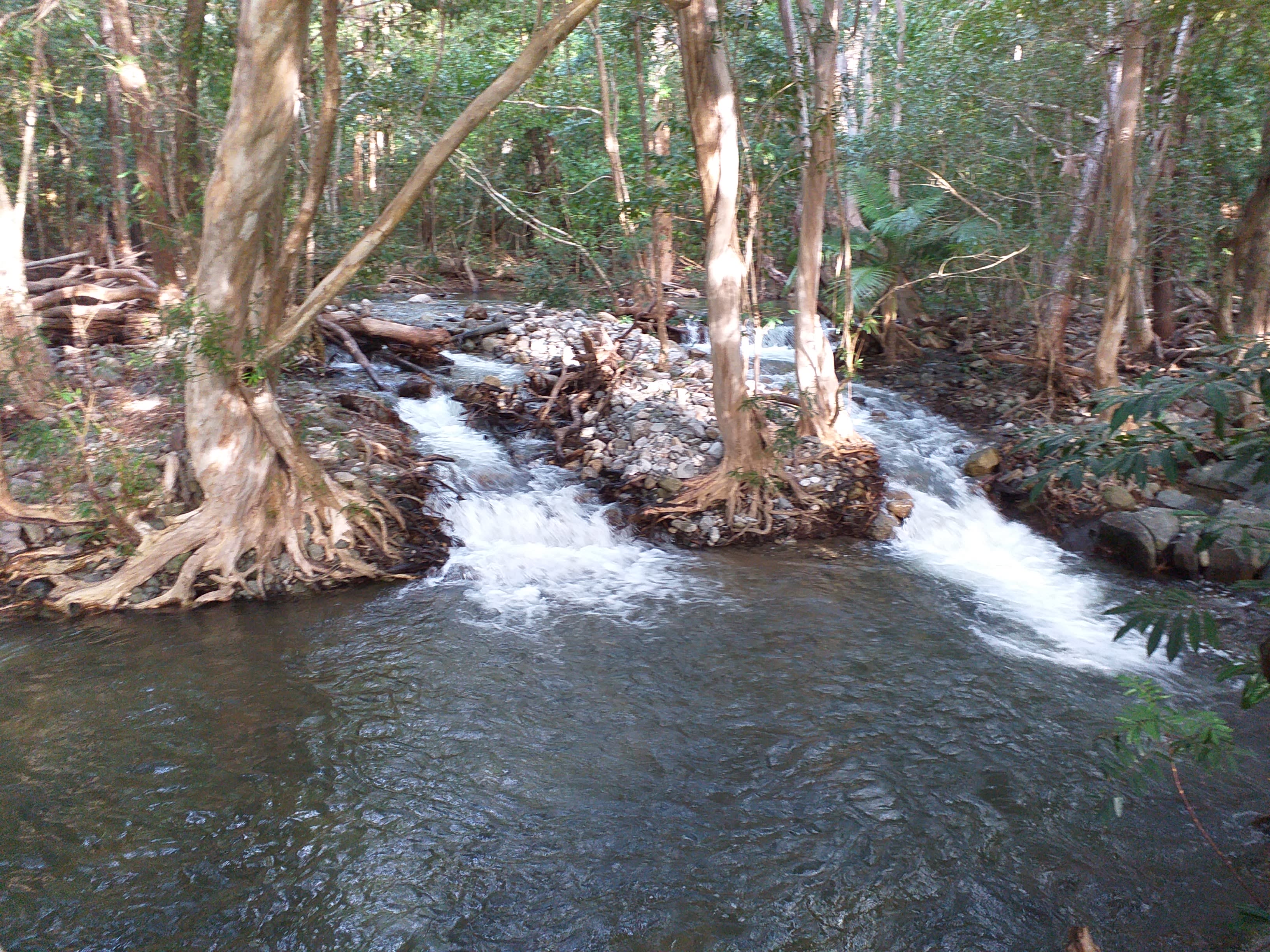 Scrubby Creek Trevethan Falls