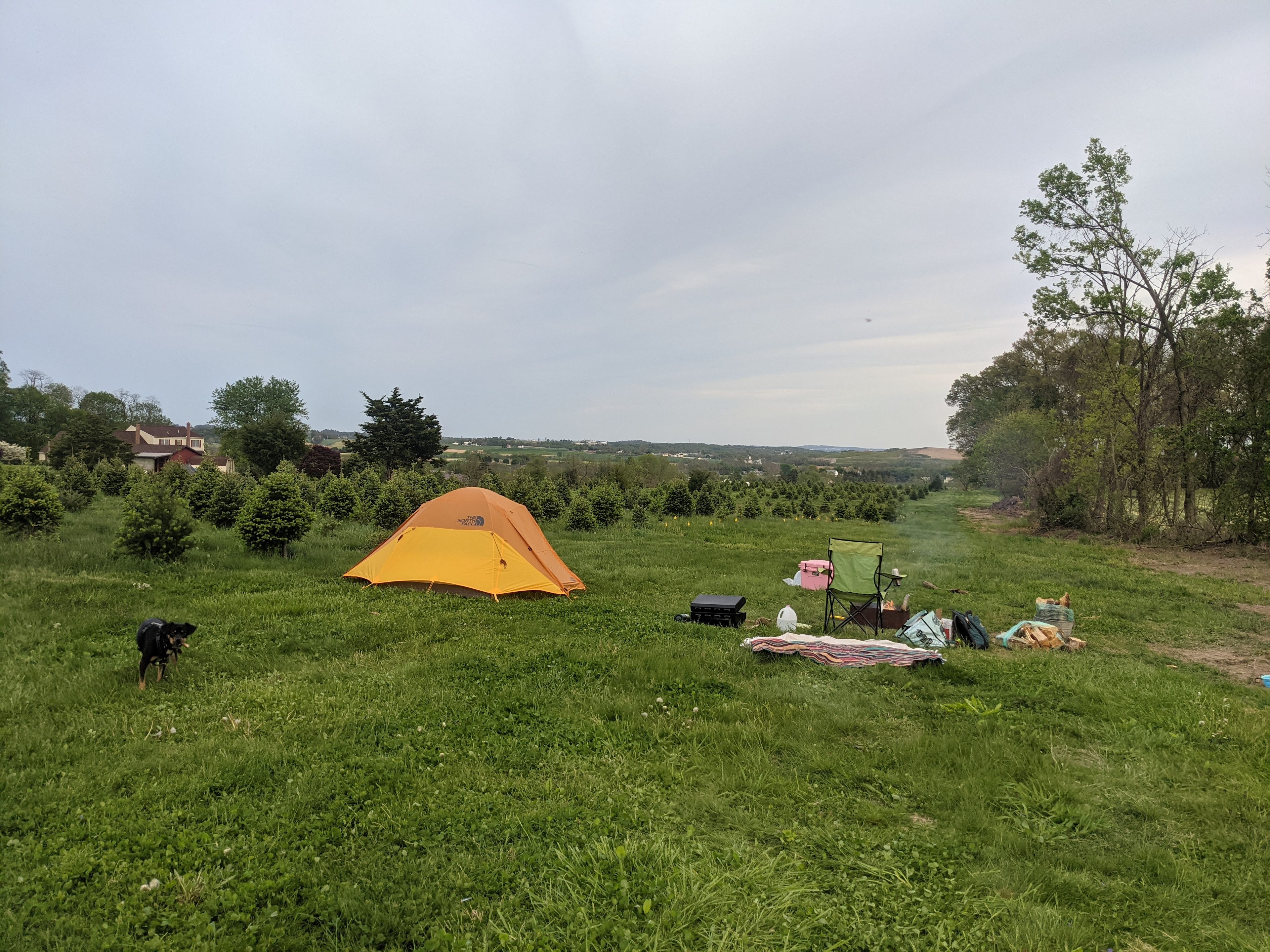 Christmas Tree Farm with Views