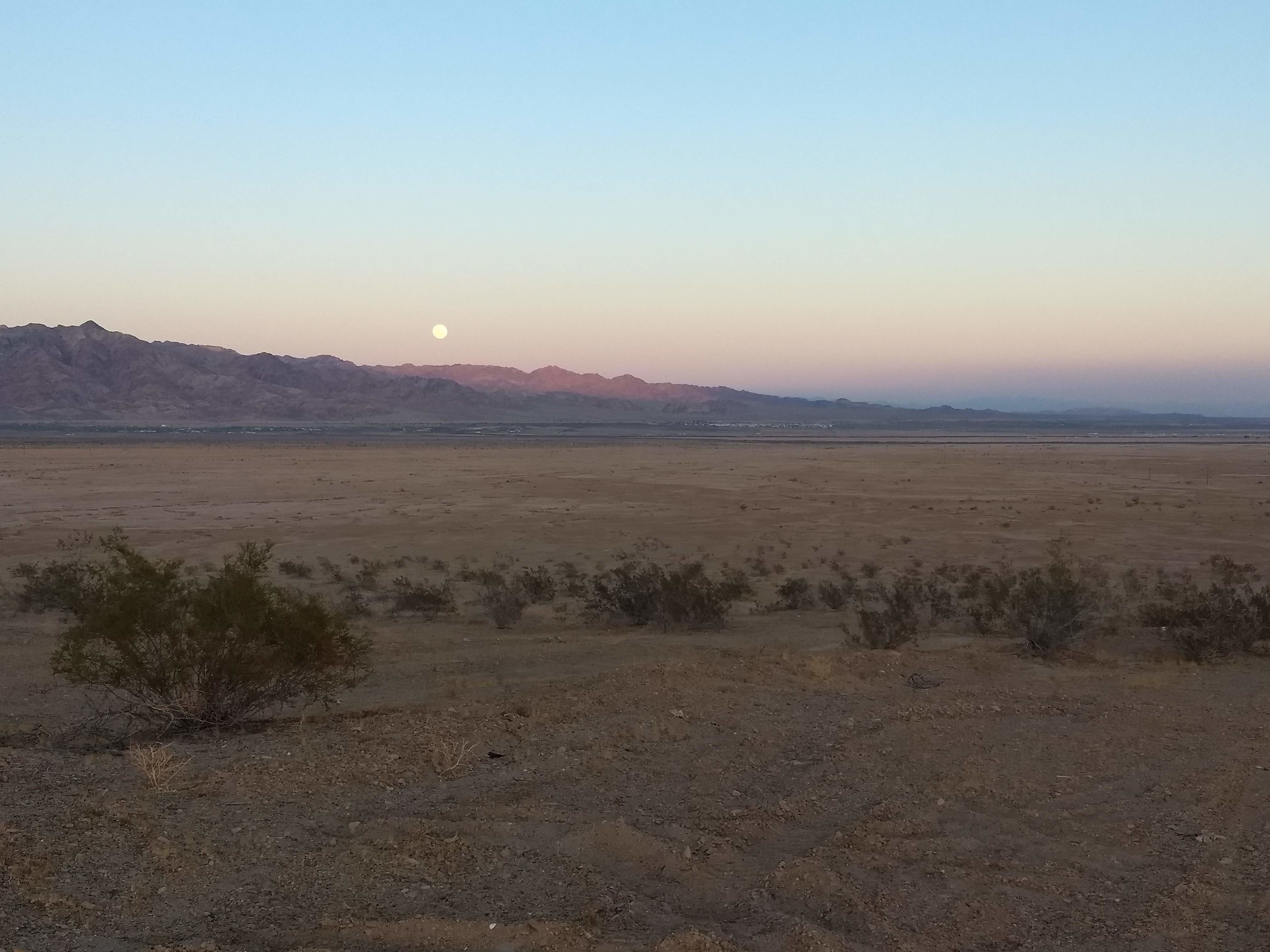 Salton Sea Seclusion
