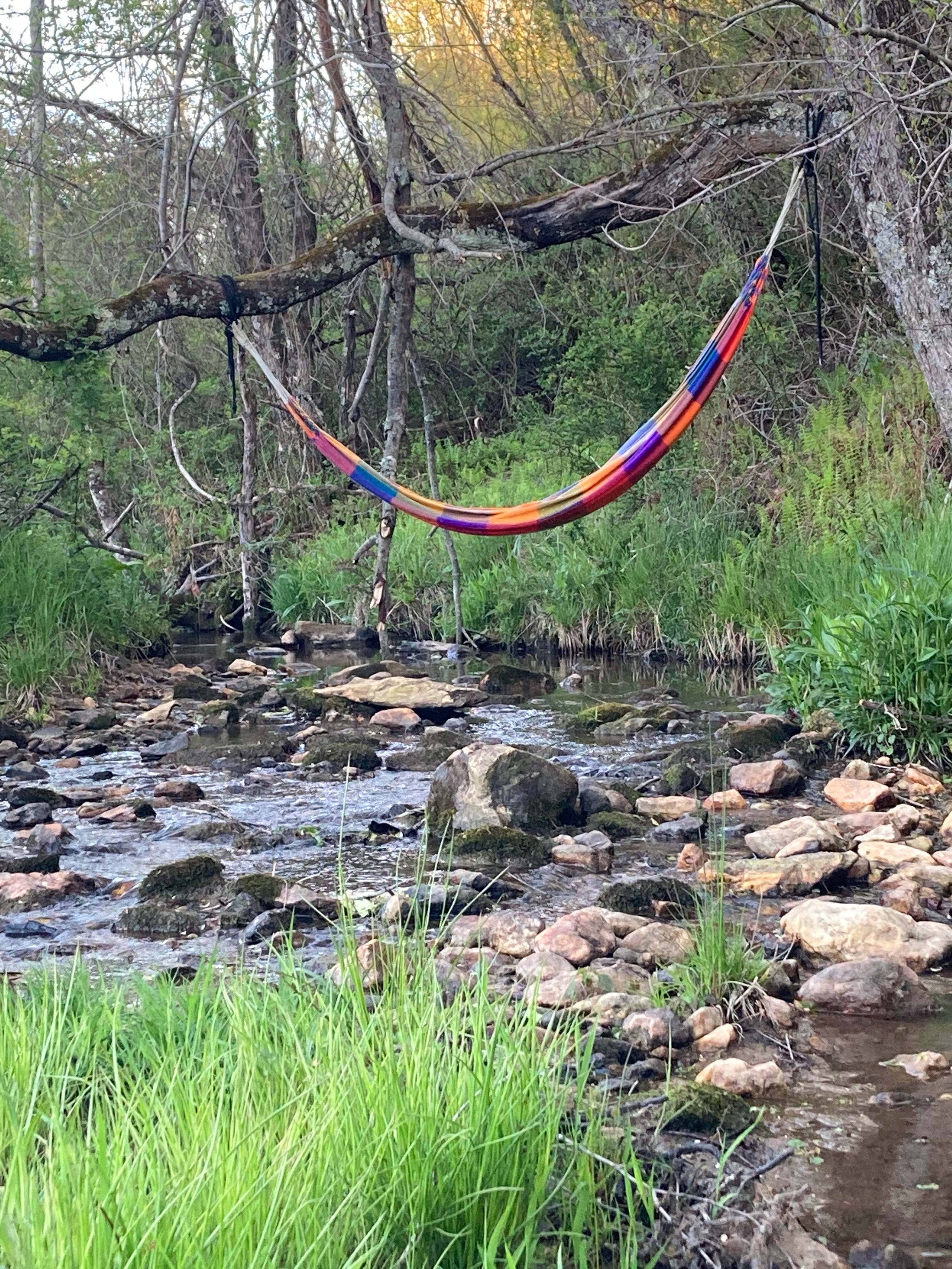 Daynasaurland Creekside Camping
