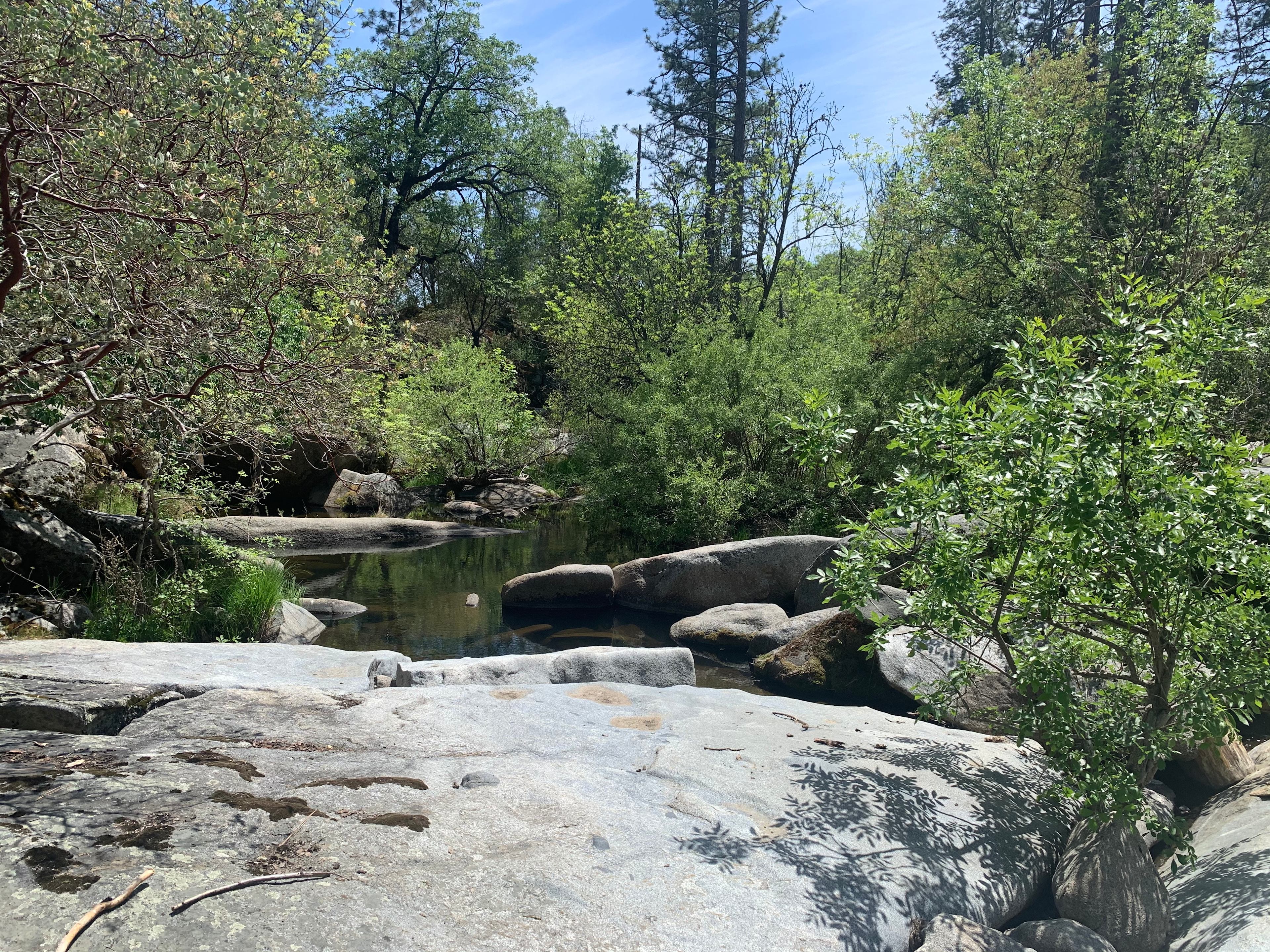 There are several swimming holes on the property. This is the main one.