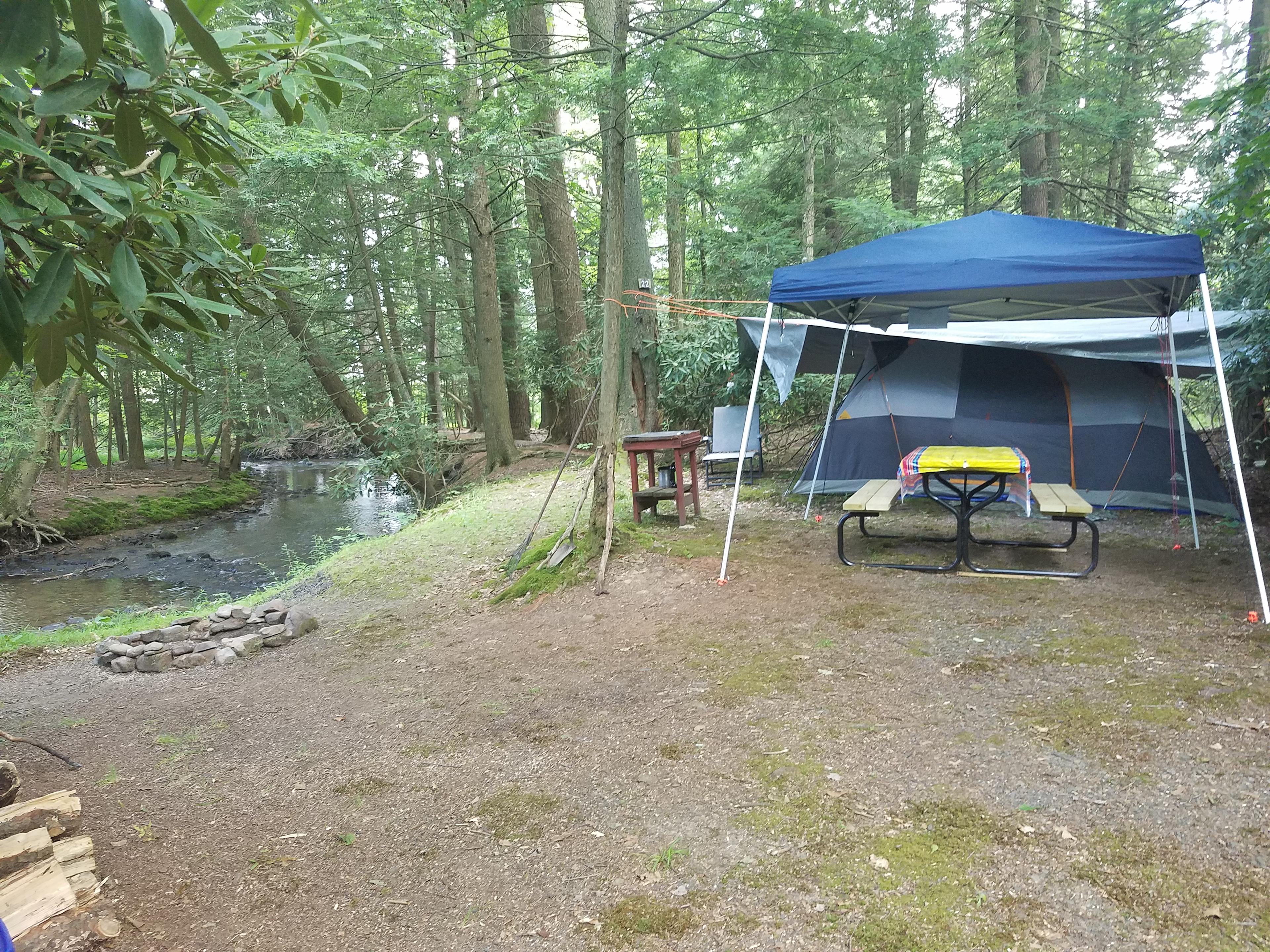 Bald Eagle Campsite