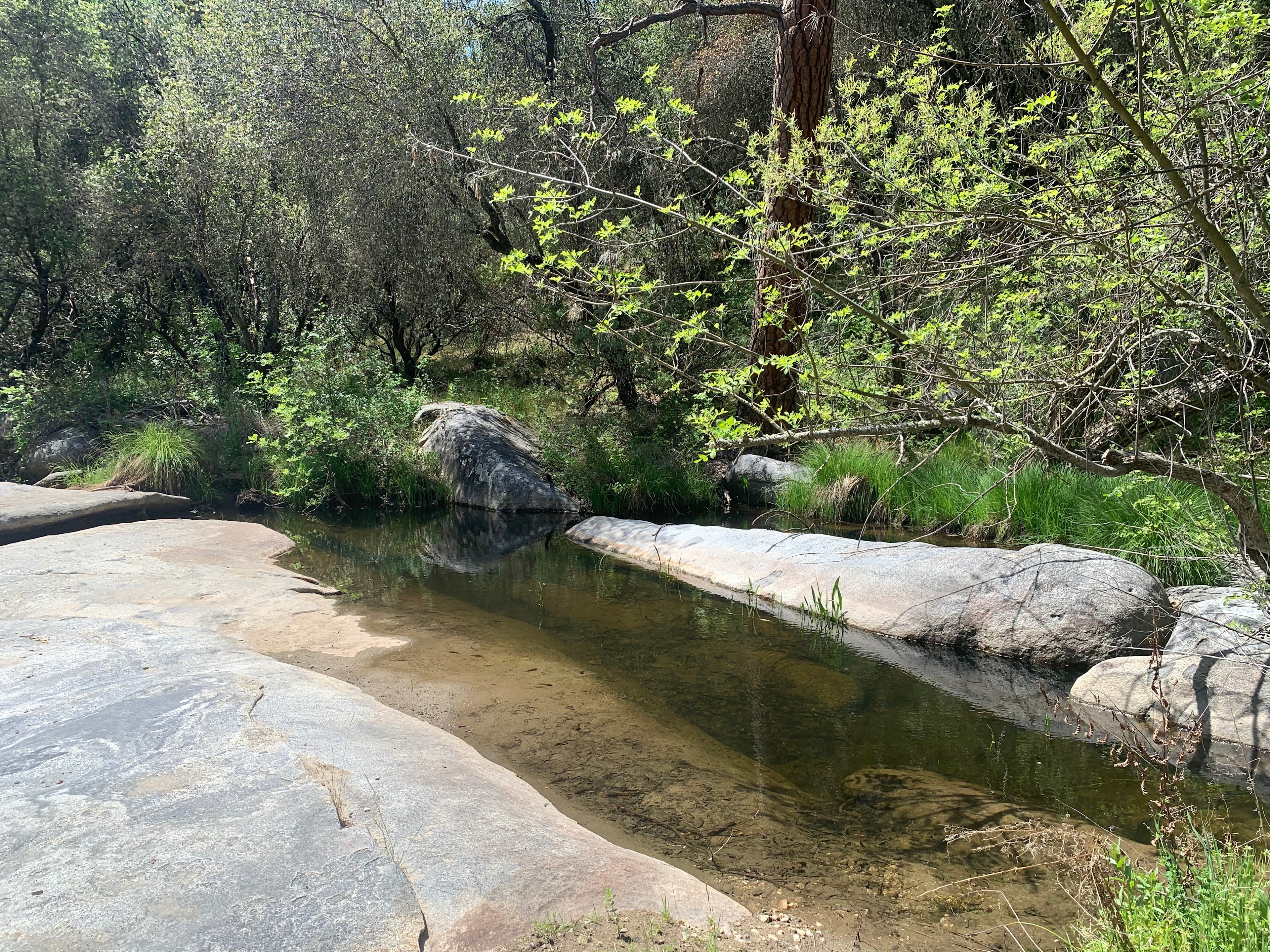Another swimming hole. Come catch some tadpoles!