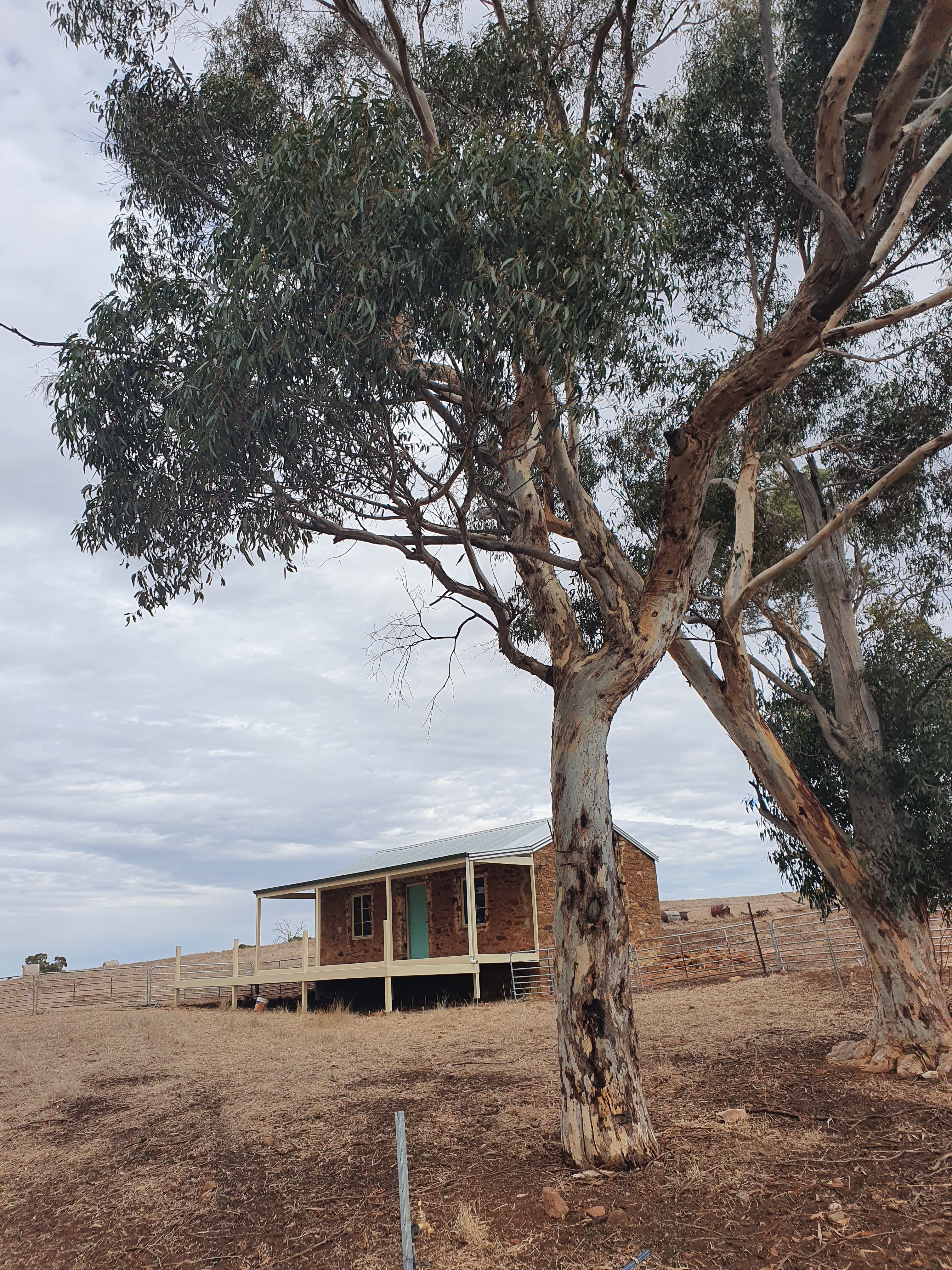 The Cottage at Undalya 