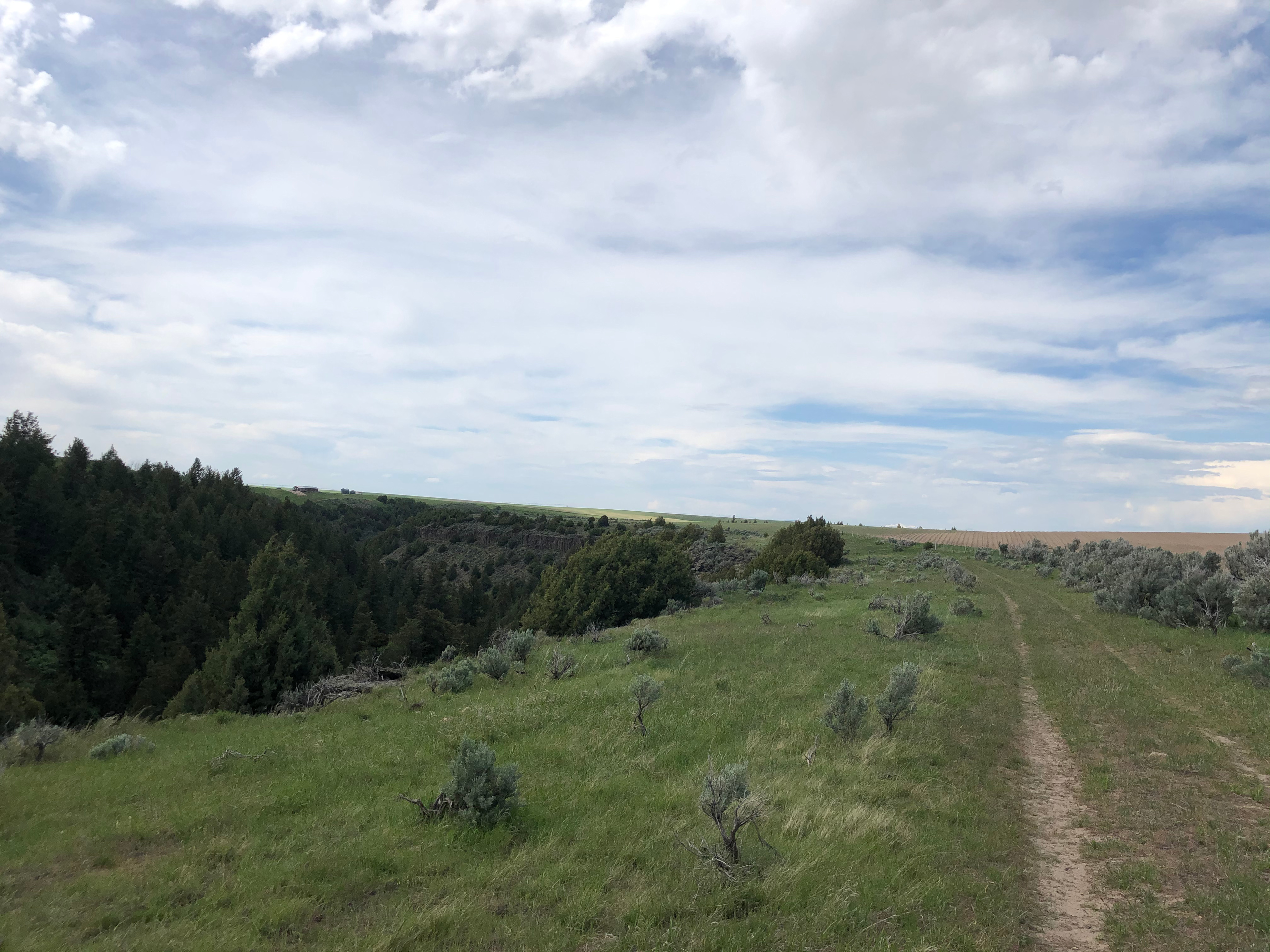 Sleepy Hammock Canyon Land