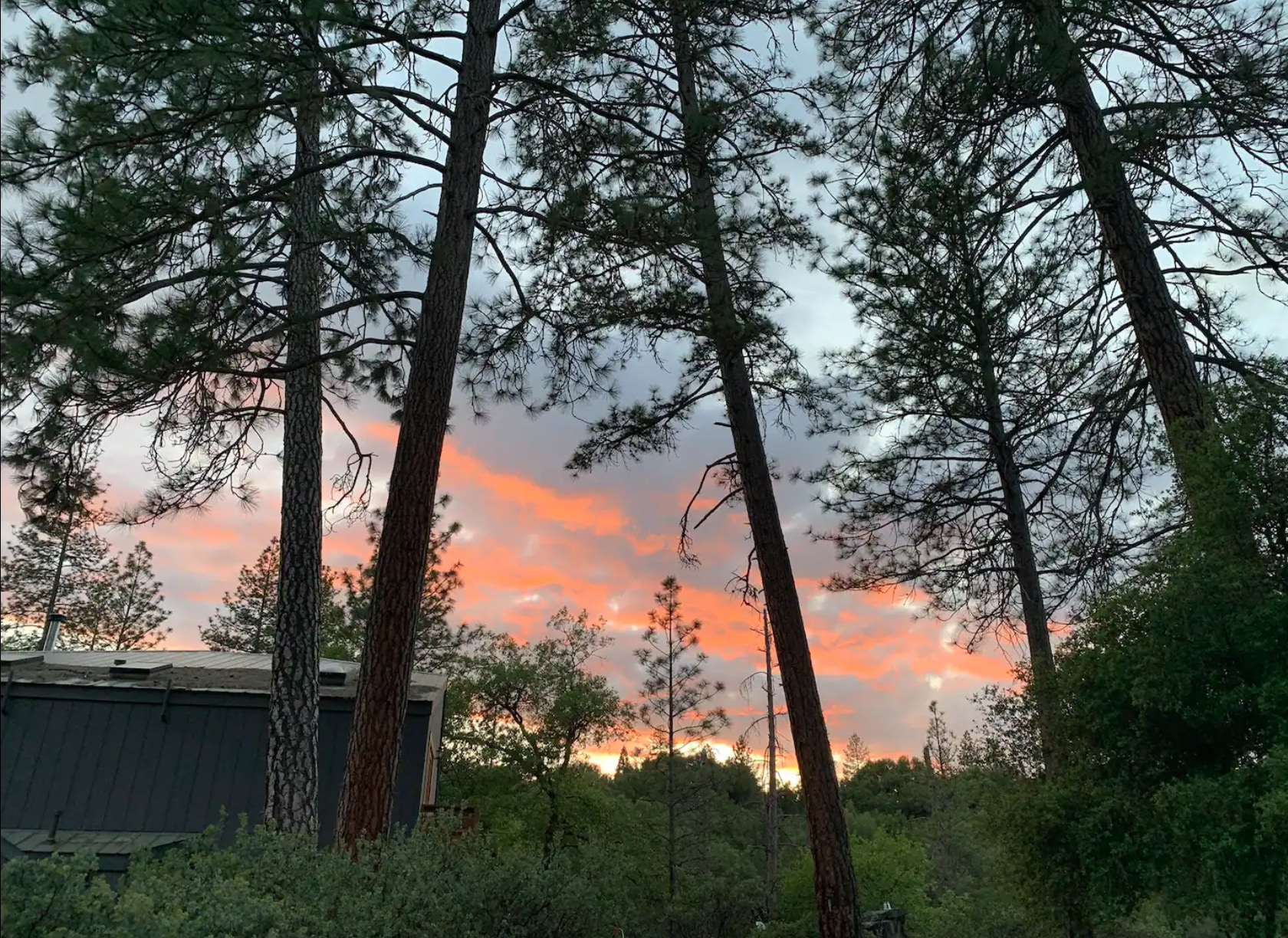 Little Piece of Yosemite