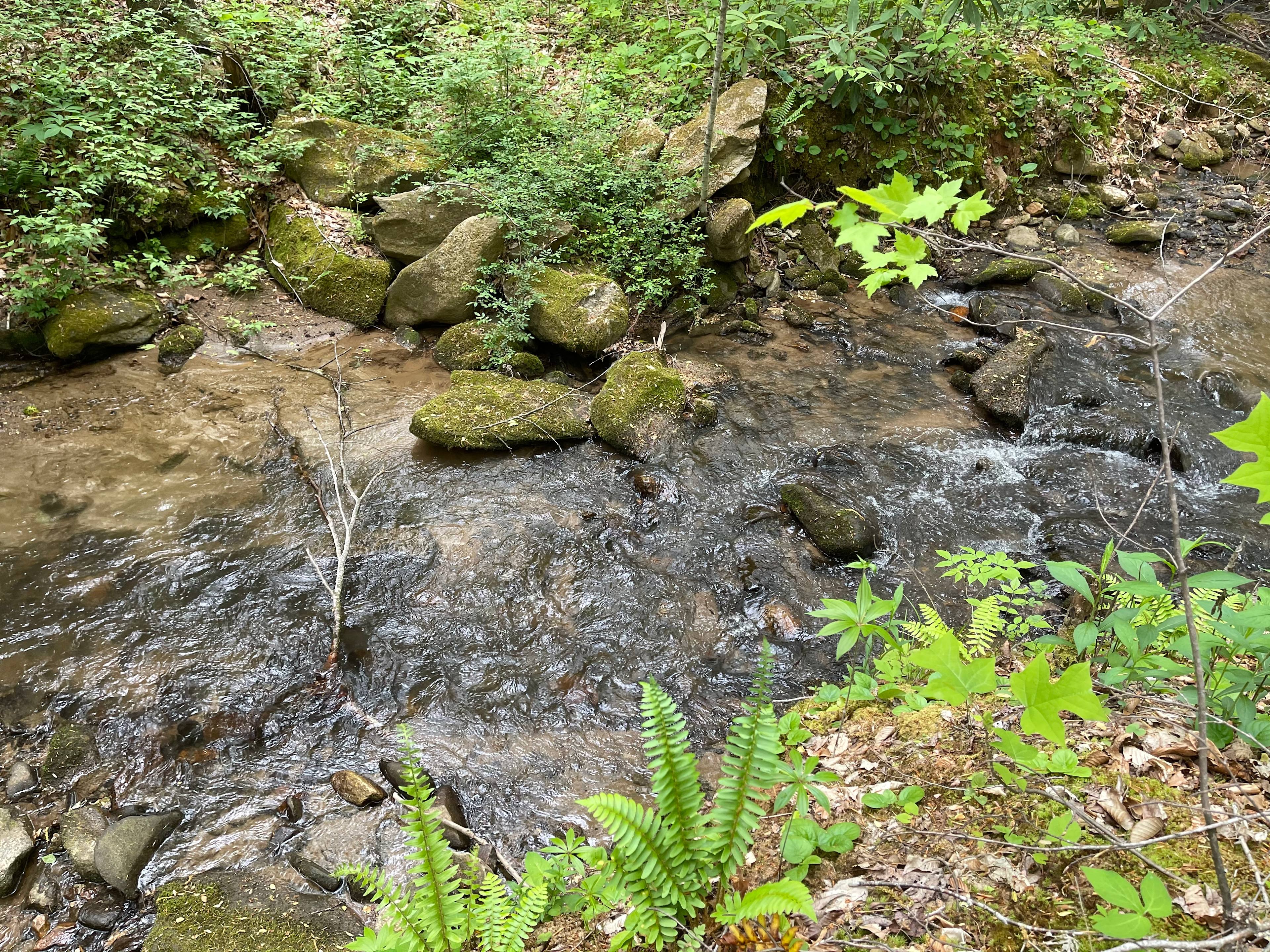 Exclusive Mountain Retreat Farm