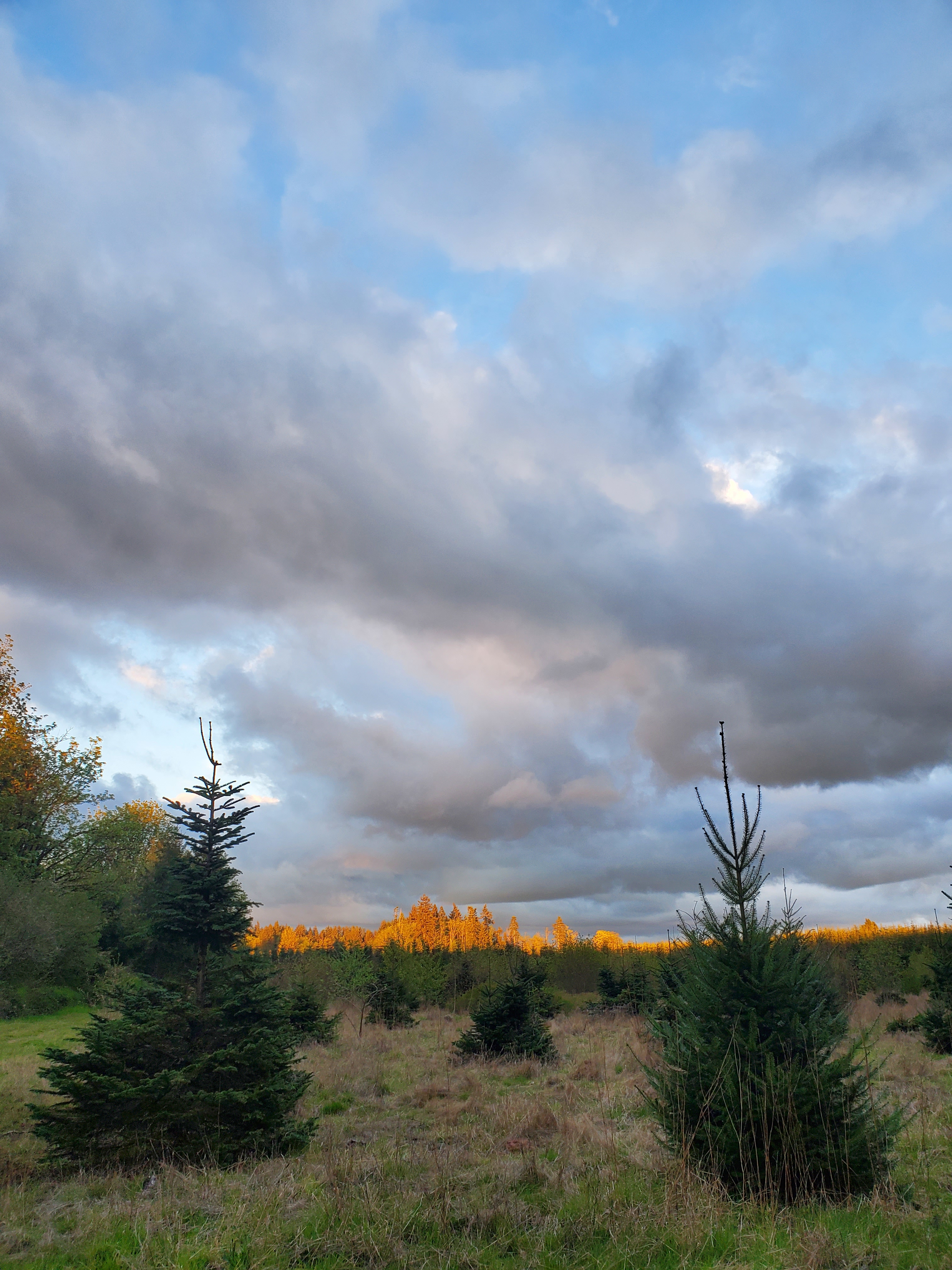 Onalaska Sanctuary