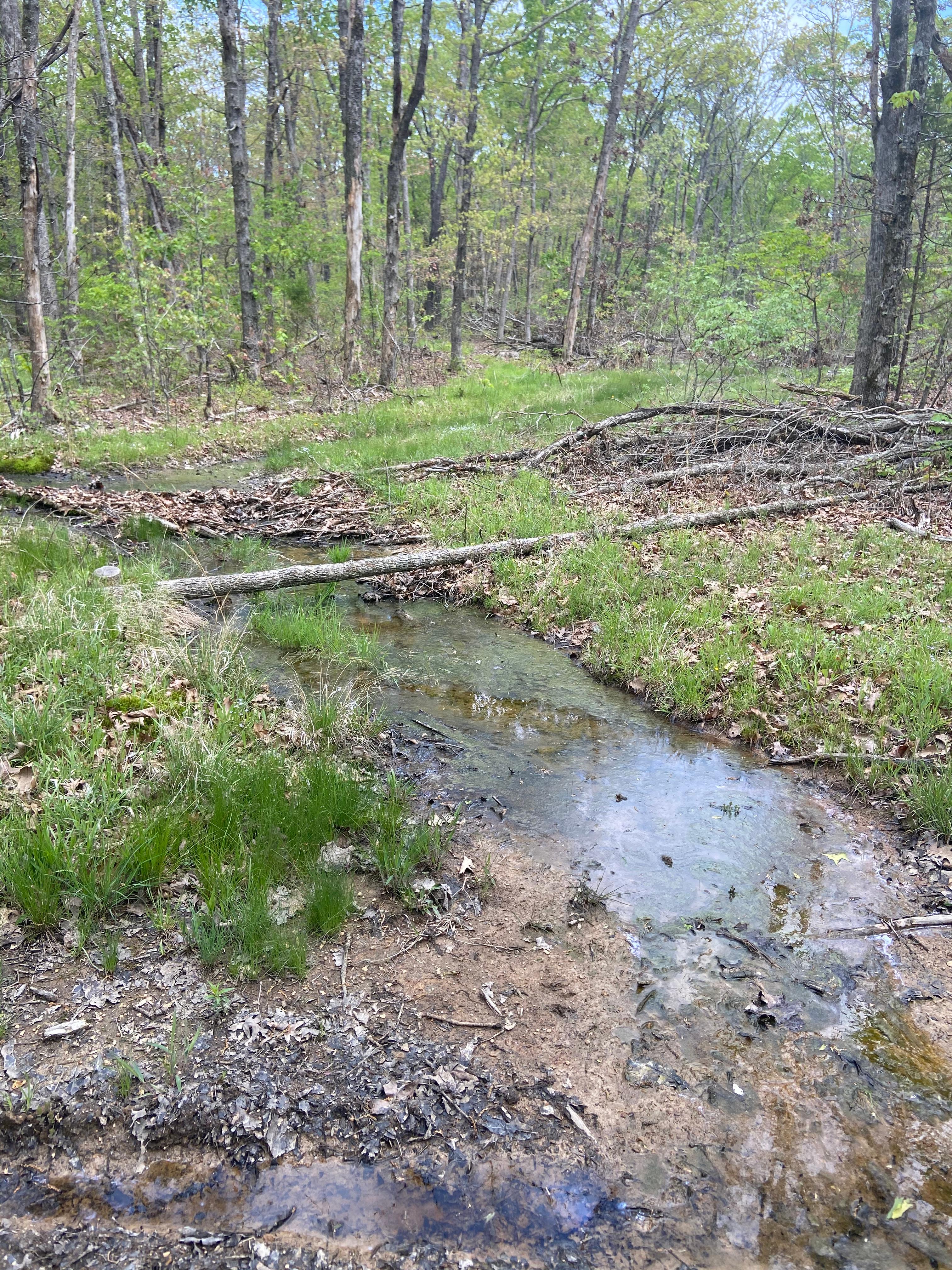 McCrady Acres