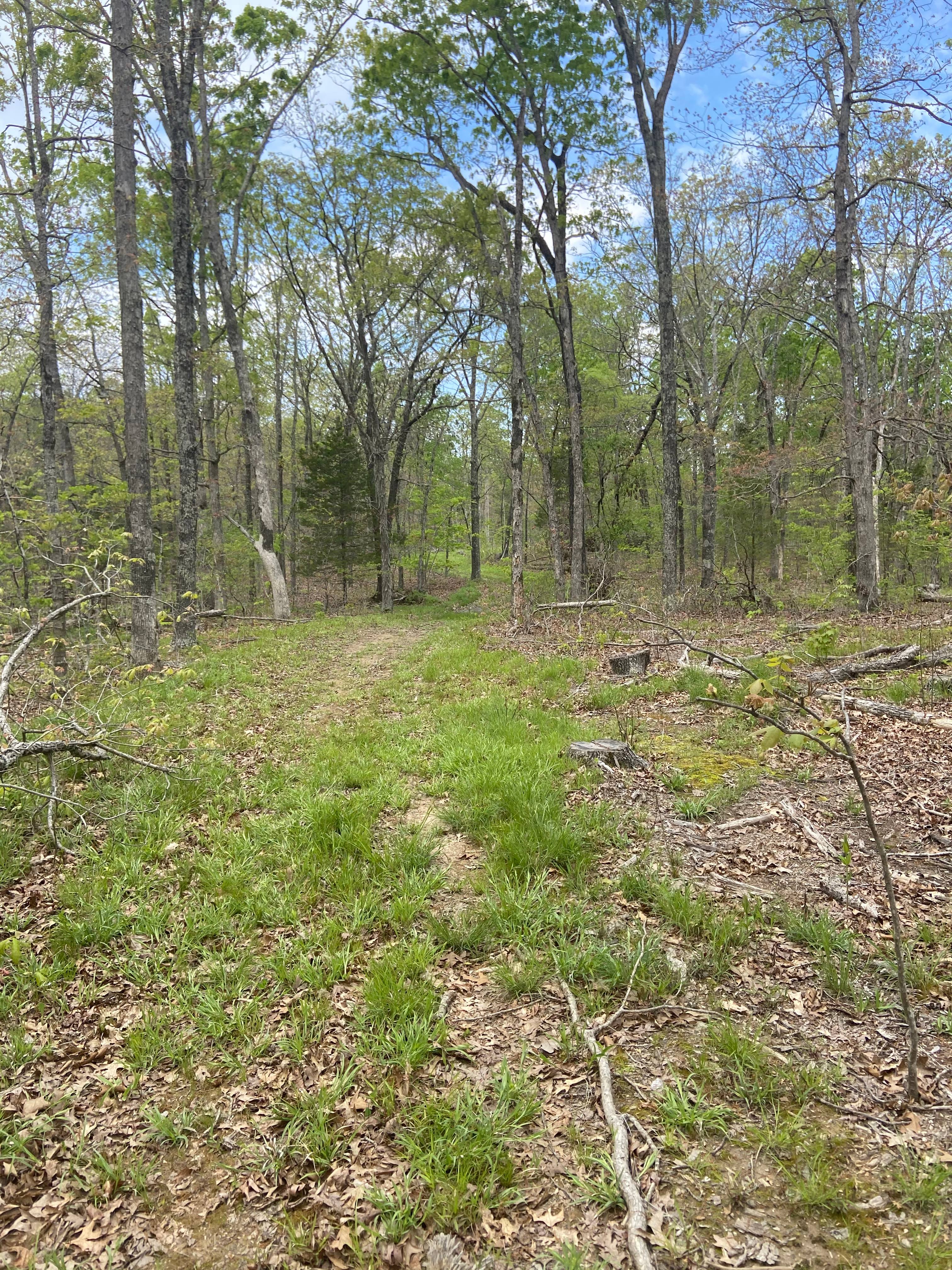 McCrady Acres