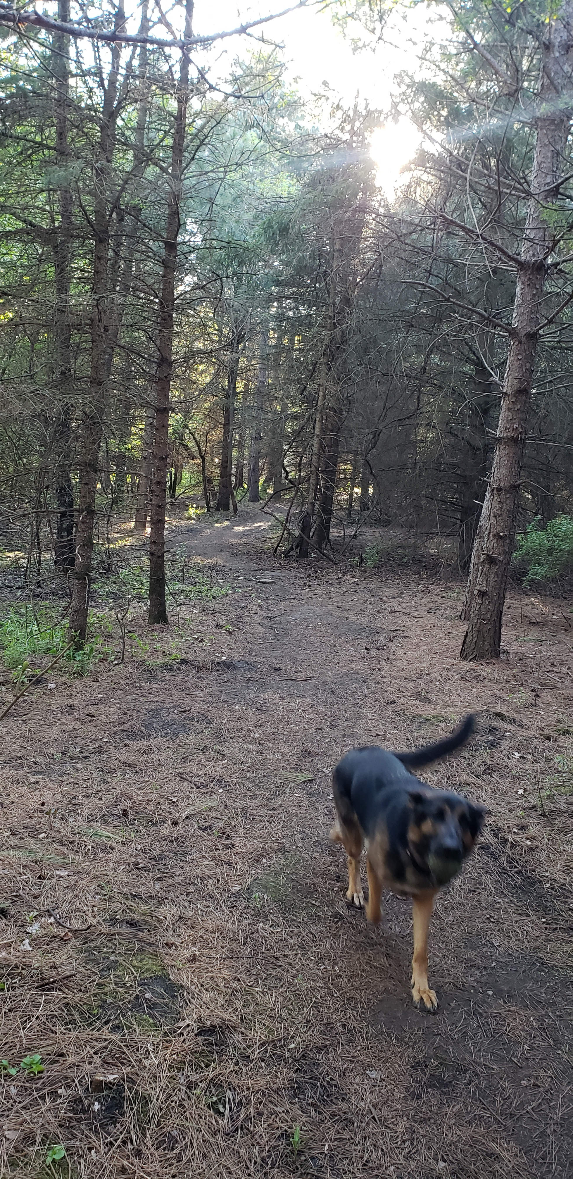 Prairie Creek Campground