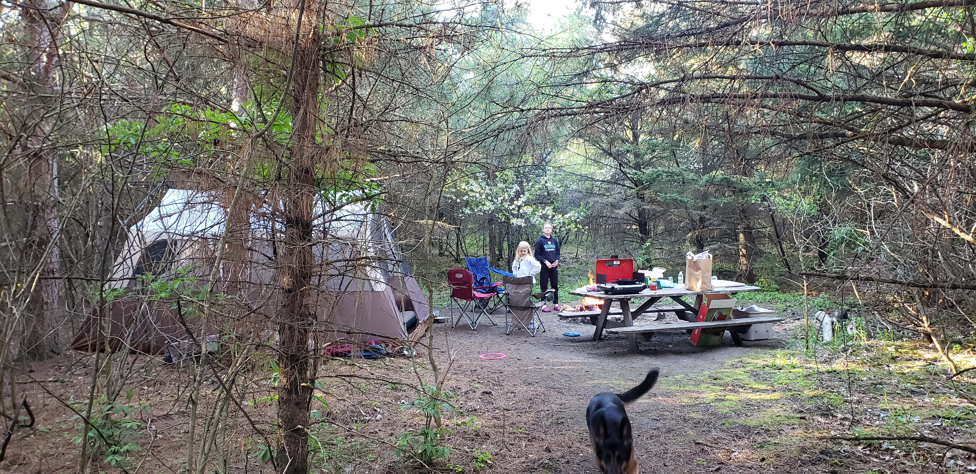Prairie Creek Campground