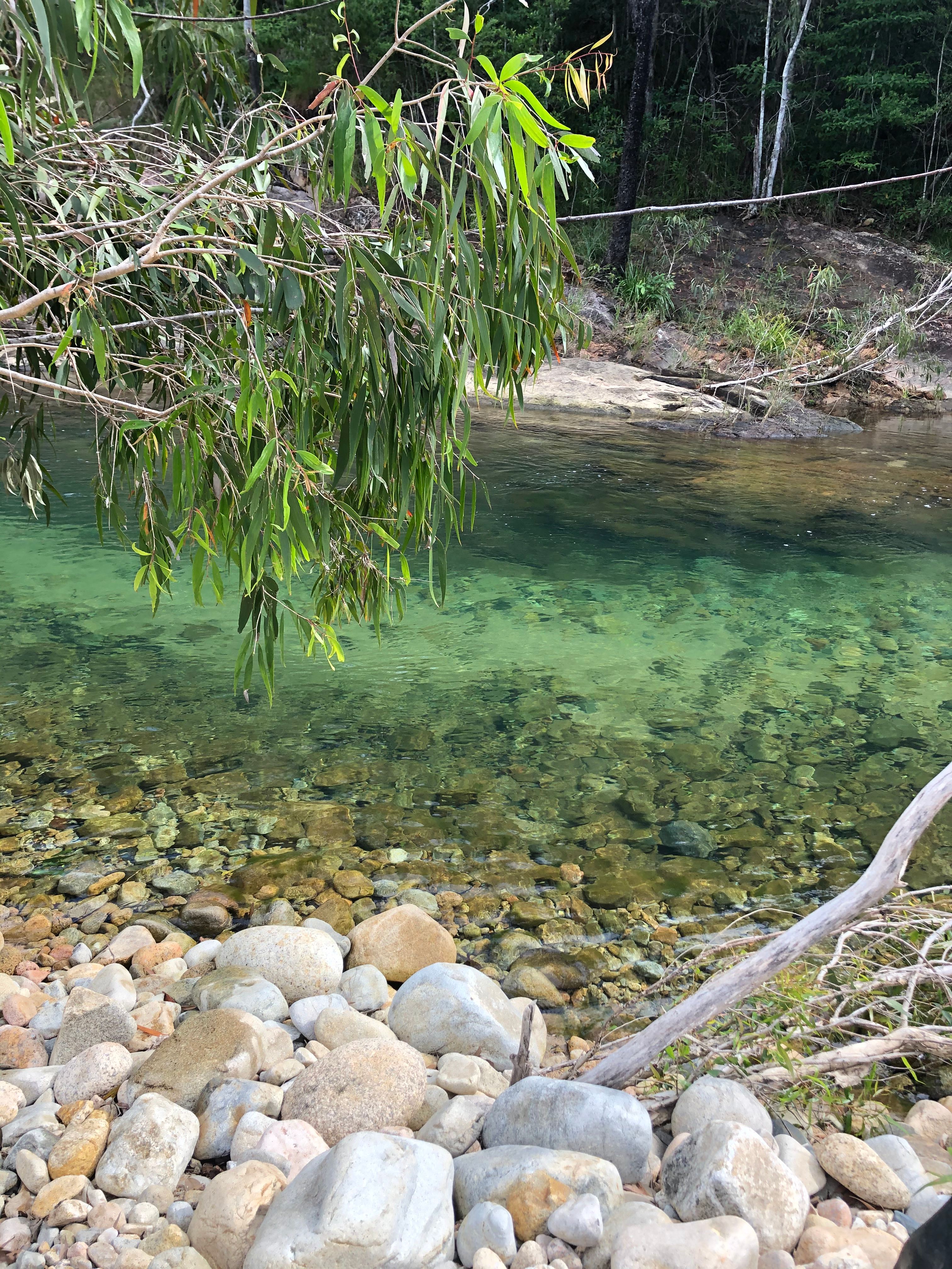 Crystal Creek Nywaigi Camp Grounds