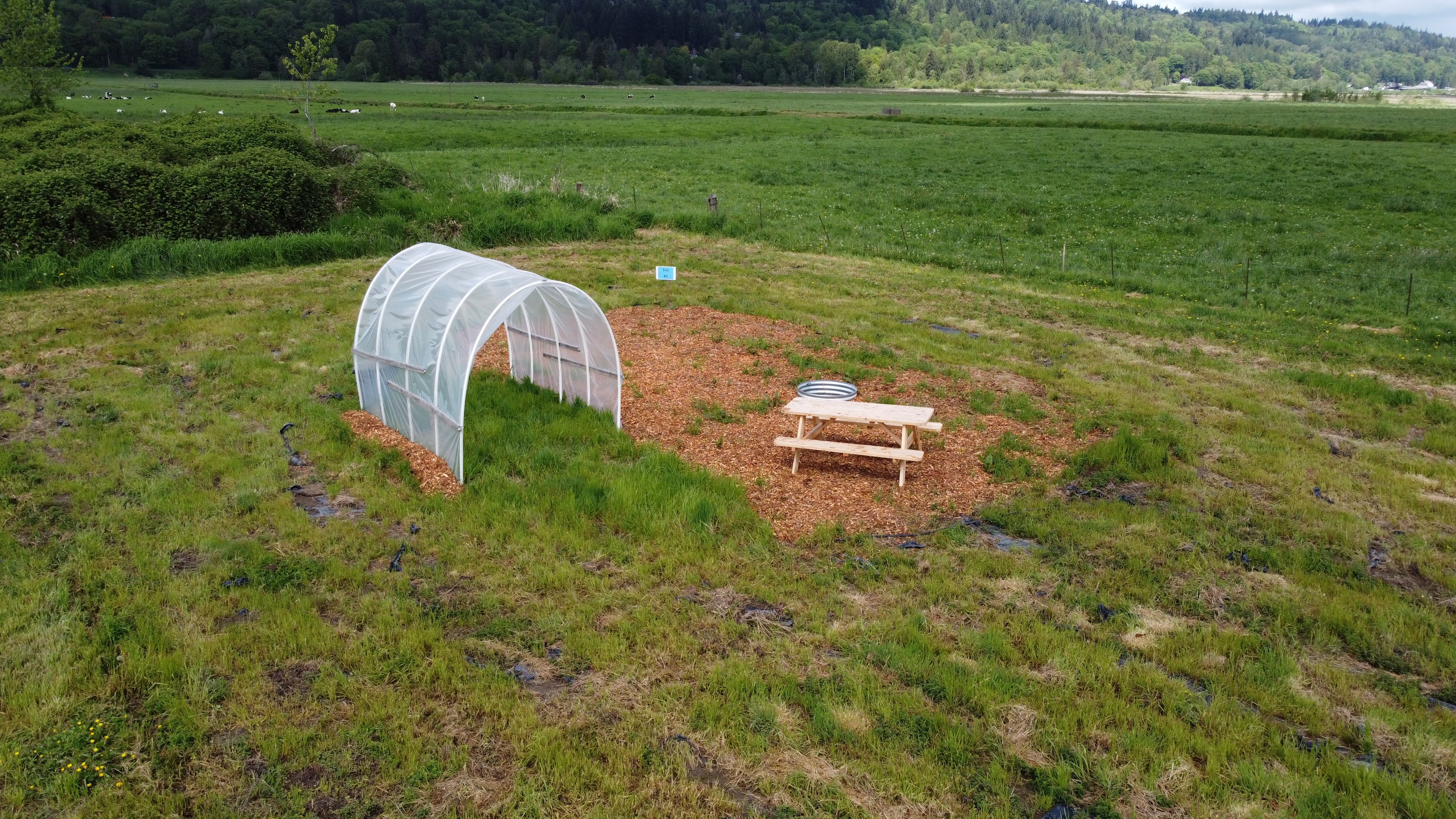 Campsite #5 close to the cows, has a Shrek hide-away and lose left over ground cover floating around.  2021 picture.  2022 removed woodchips as a fire safety precaution.