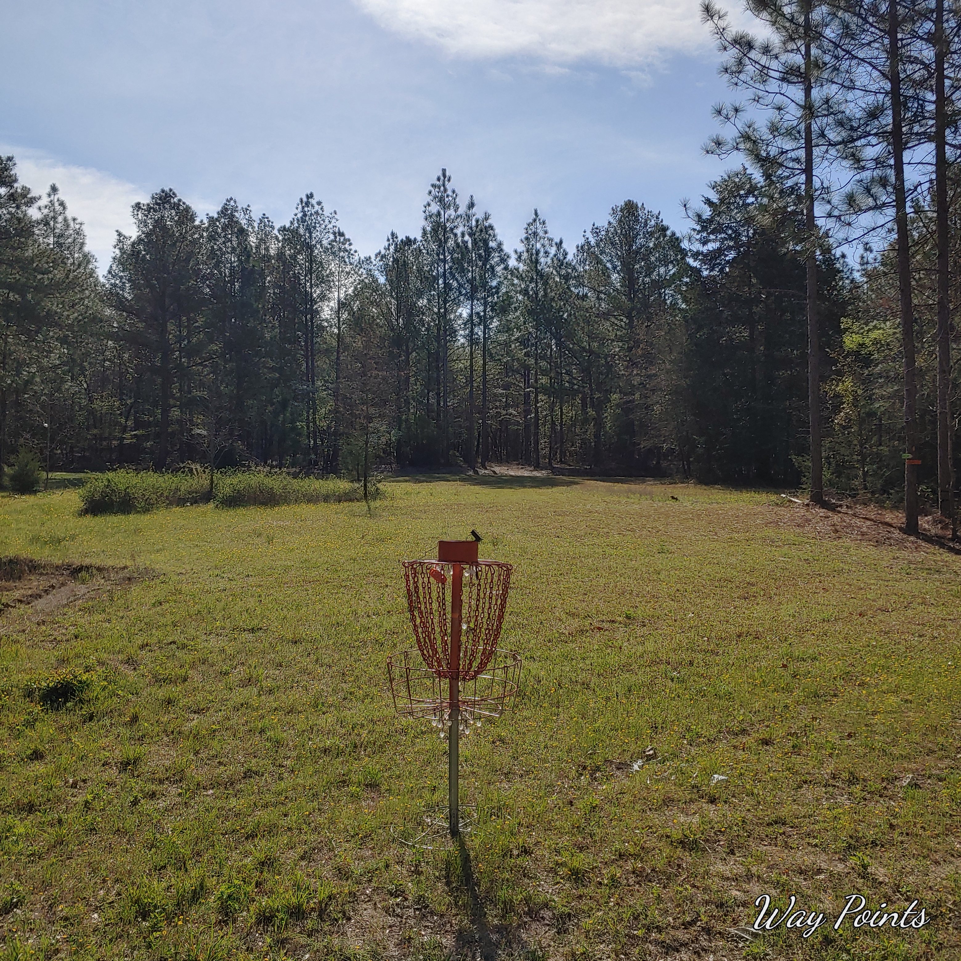 Camp, Mountain bike, Disc golf.