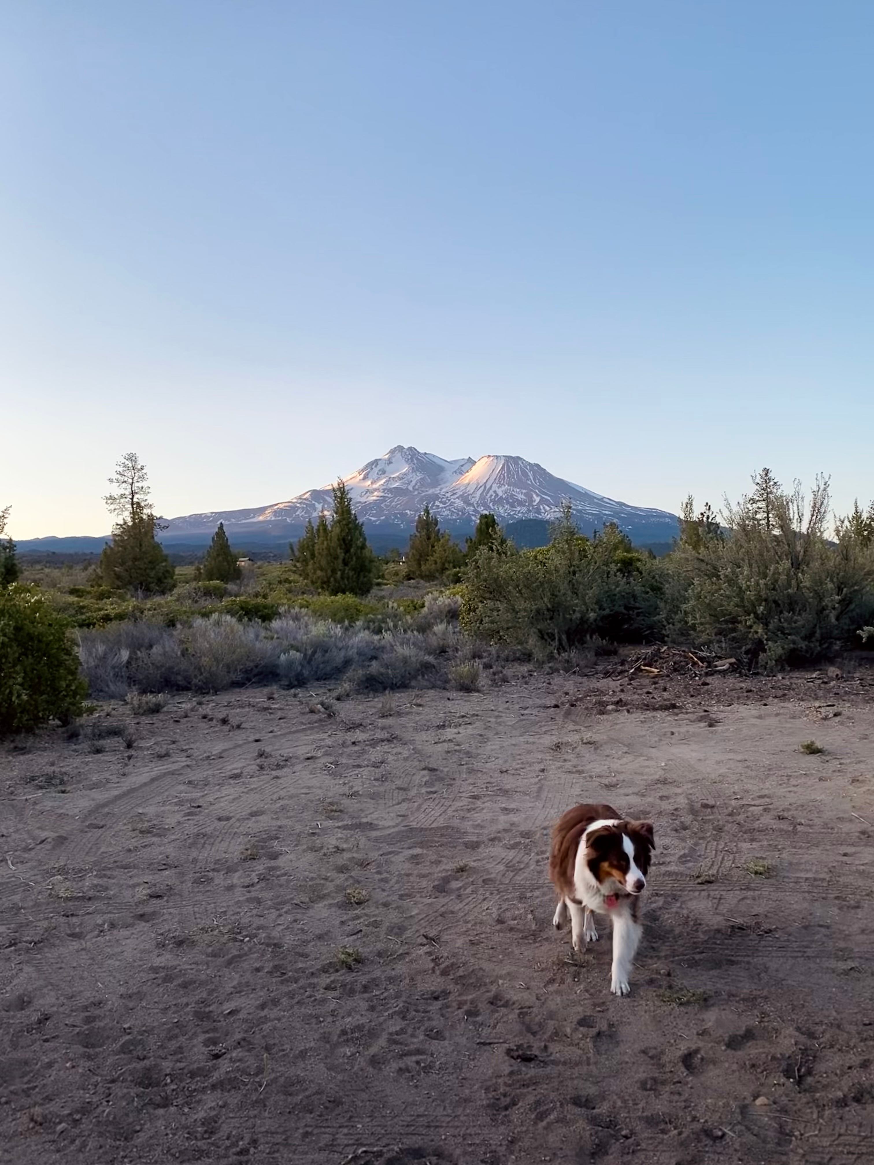 Juniper Valley Campsites