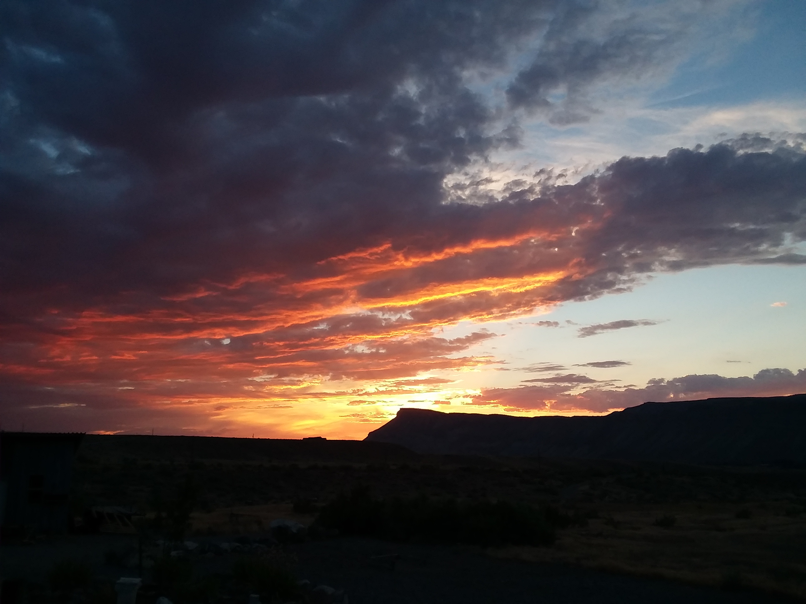 Palisade Vista