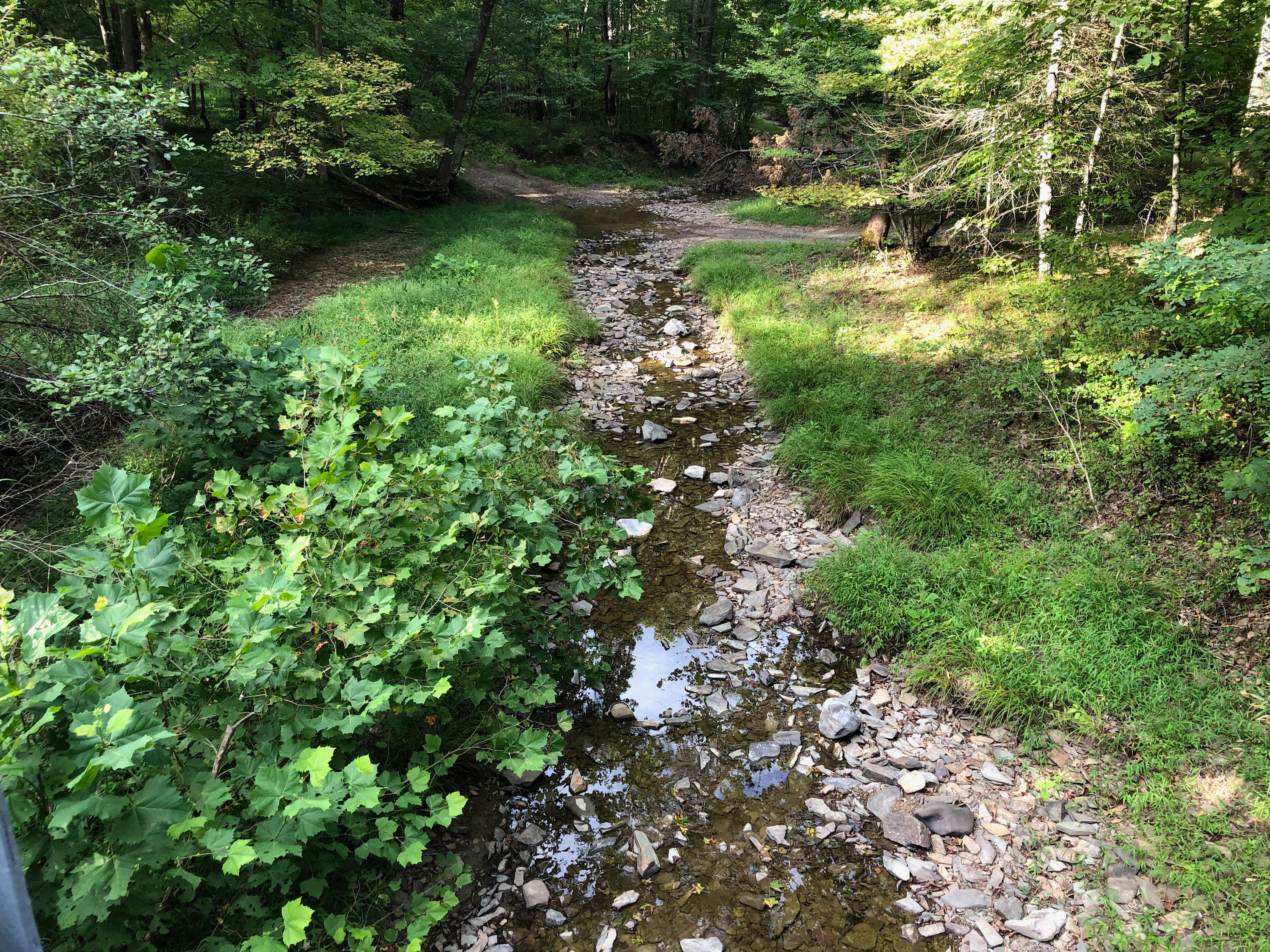 Divide Run Campground