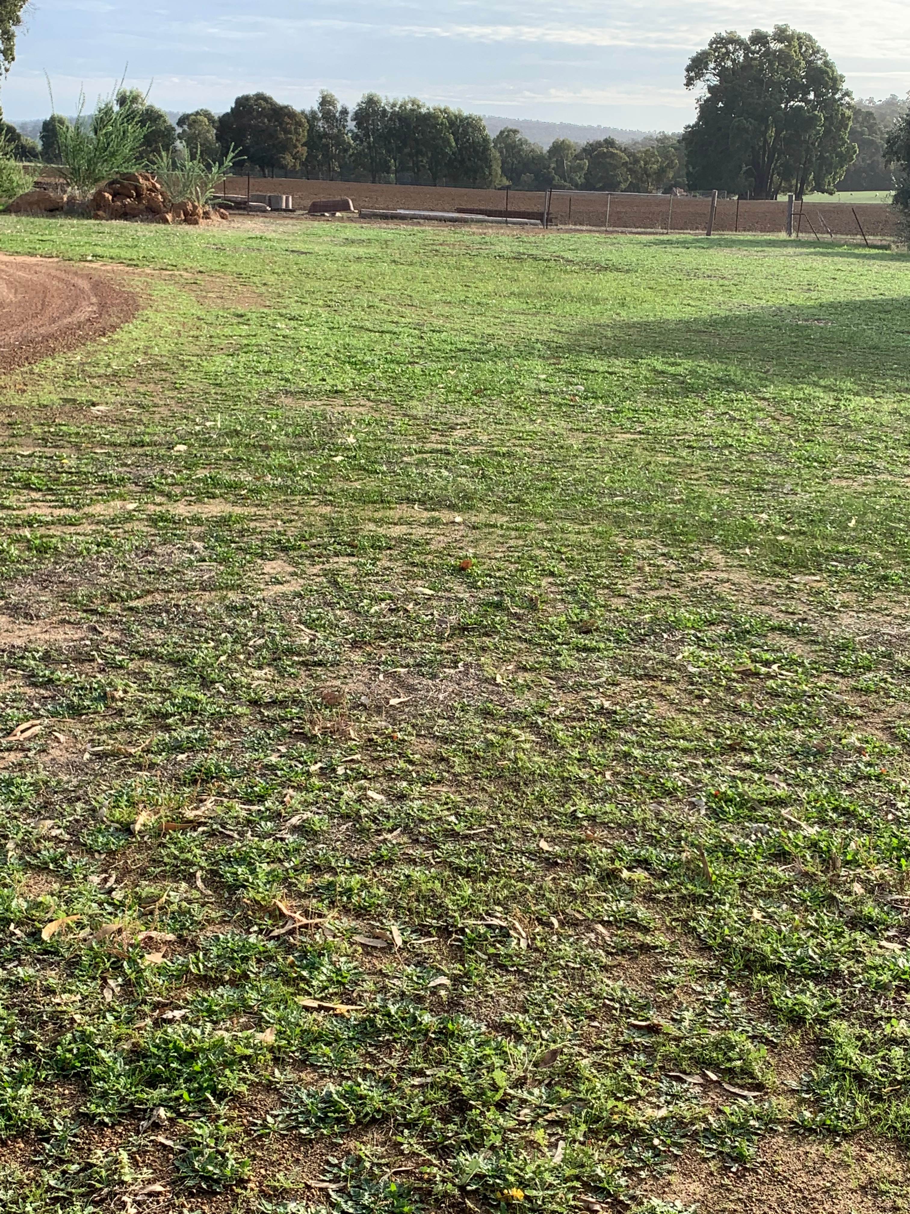 Crossman Farm Camping