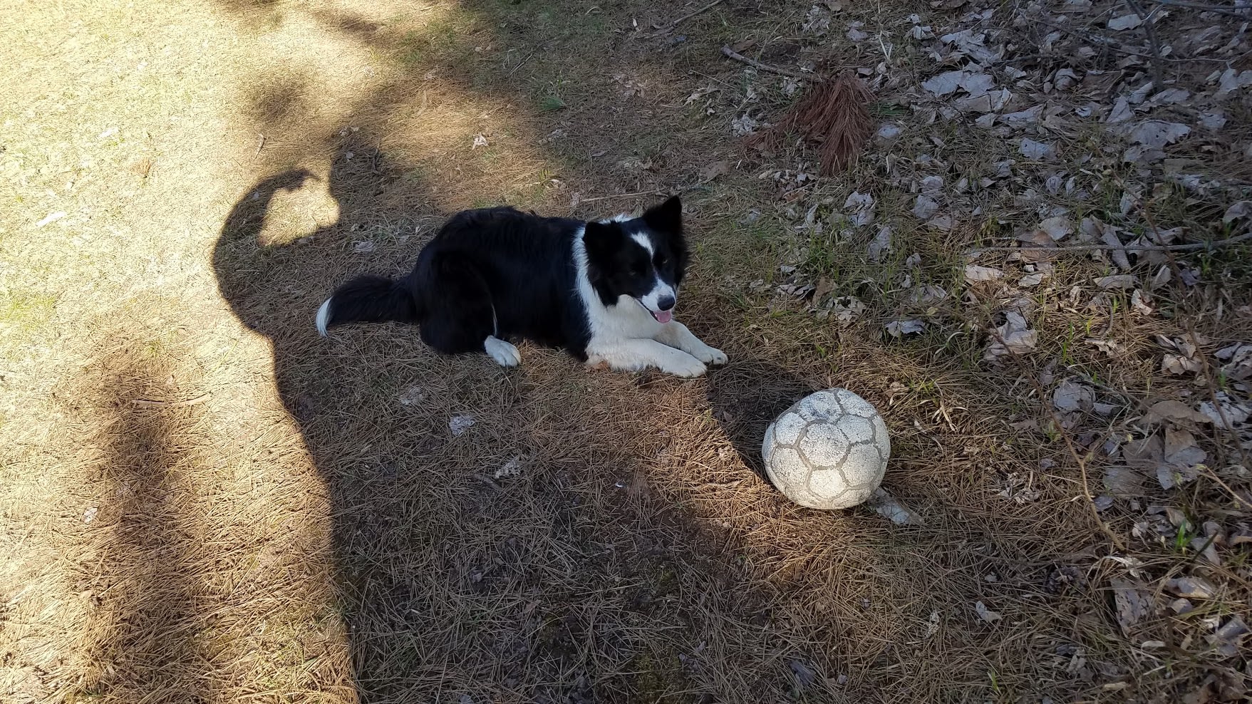 Daisy, everyone's best friend!