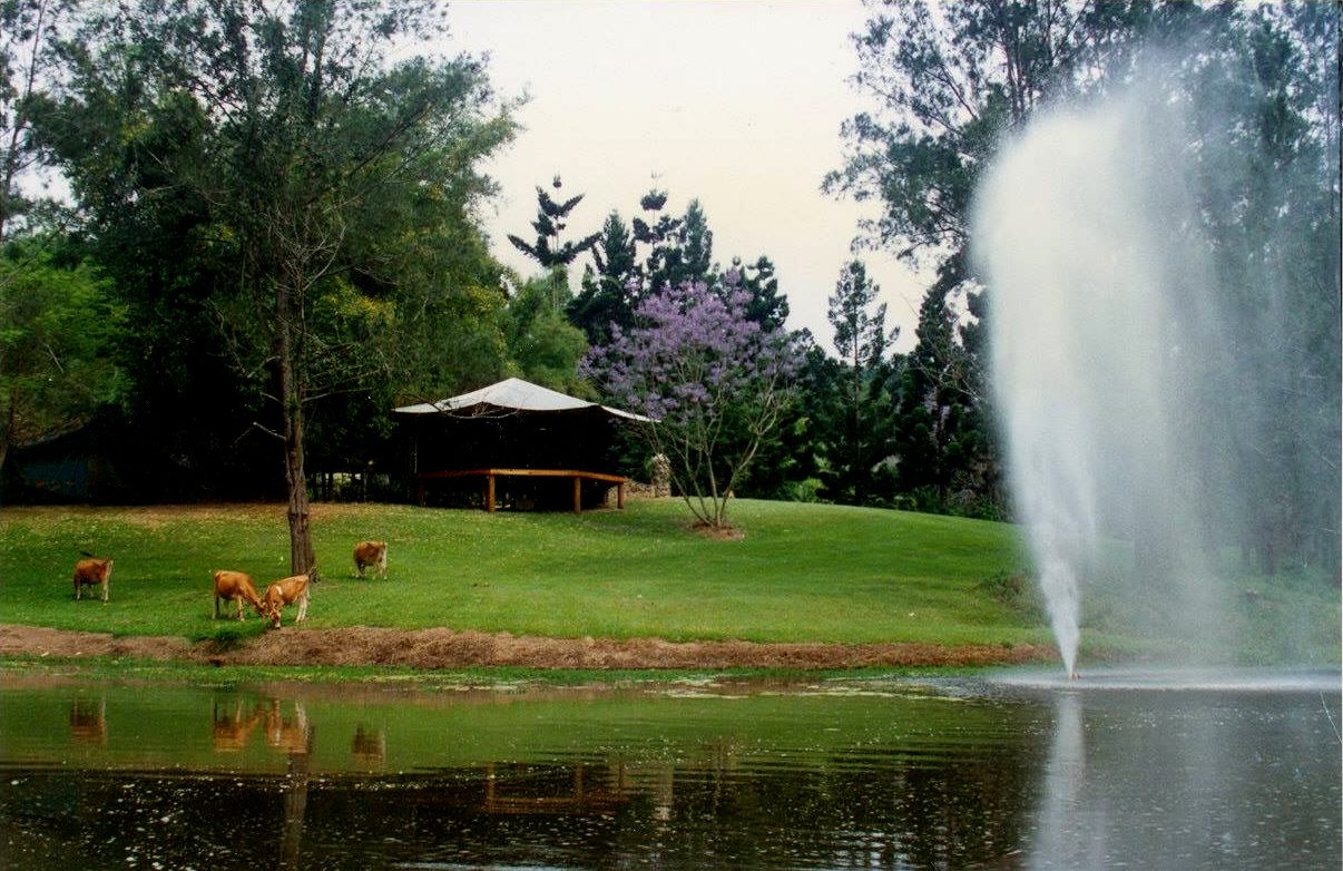Tallebudgera Veg Sanctuary.